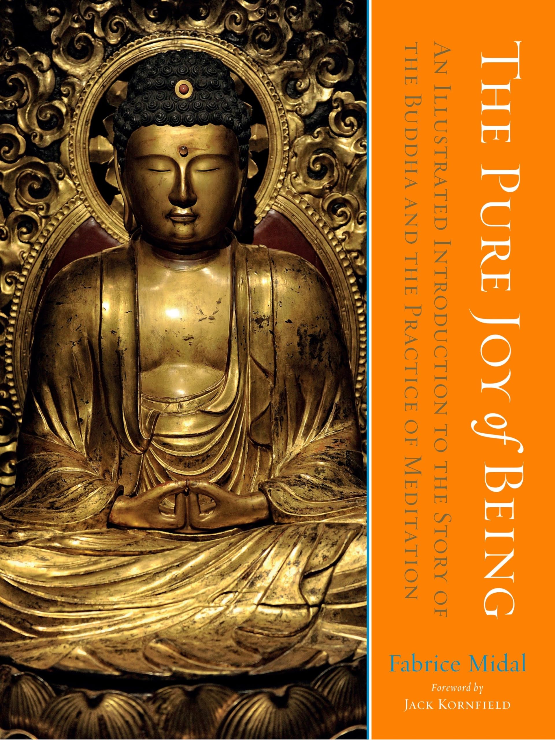 The Pure Joy of Being: An Illustrated Introduction to the Story of the Buddha and the Practice of Meditation,New