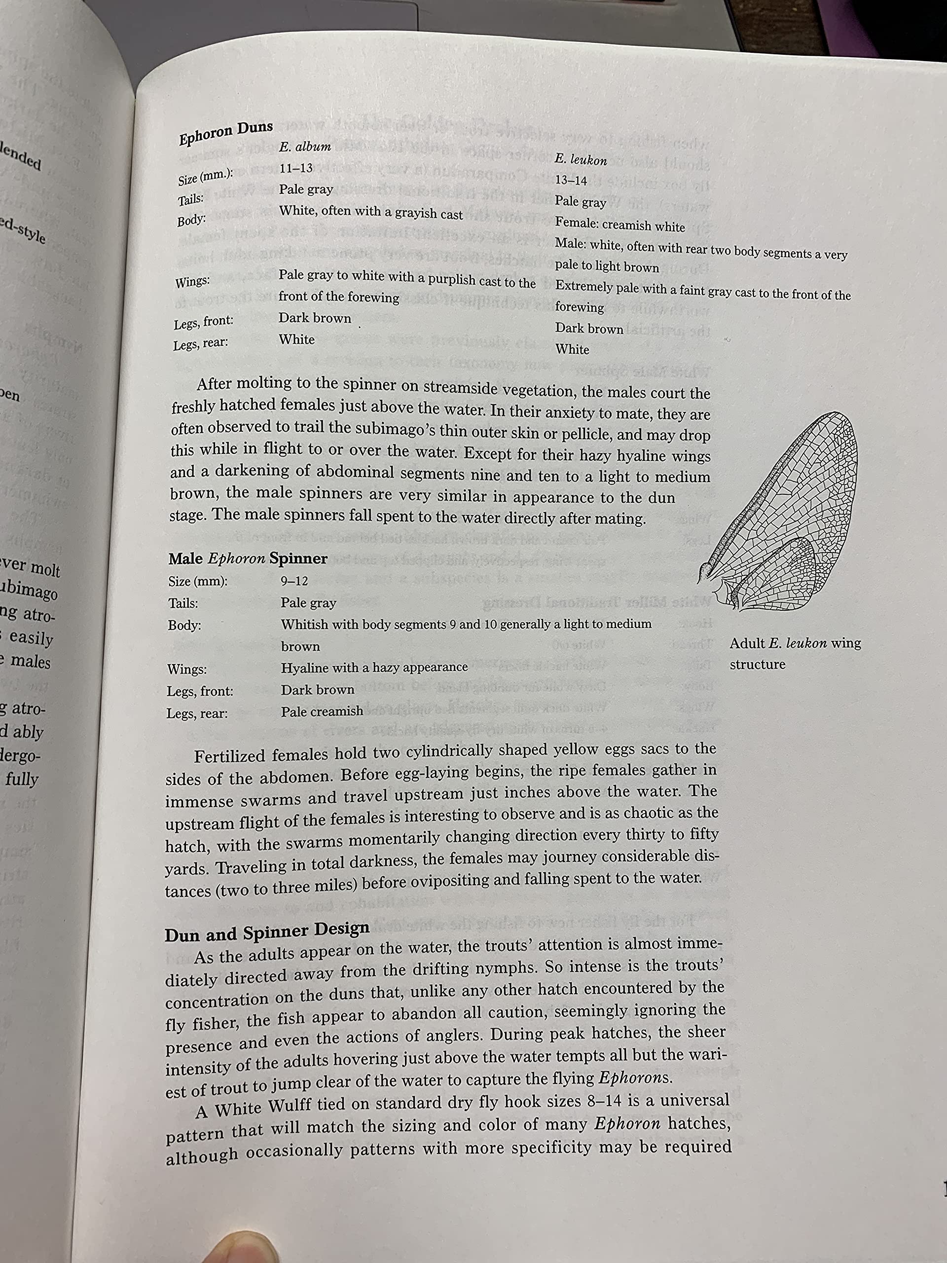 Mayflies: An Angler'S Study Of Trout Water Ephemeroptera,Used