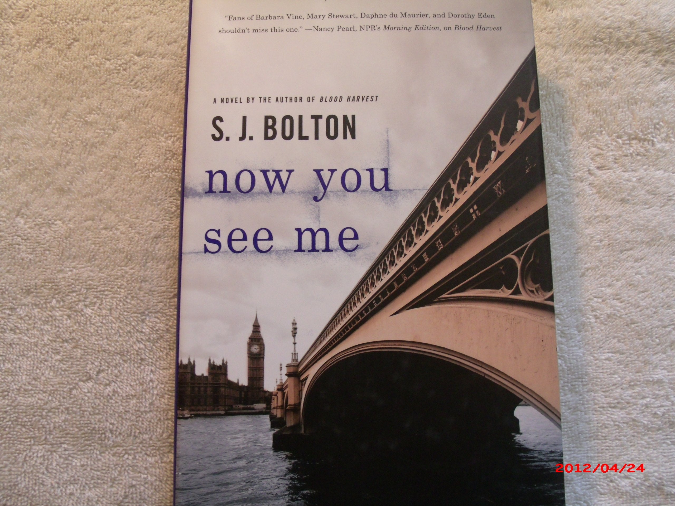 Now You See Me (Lacey Flint Novels),New