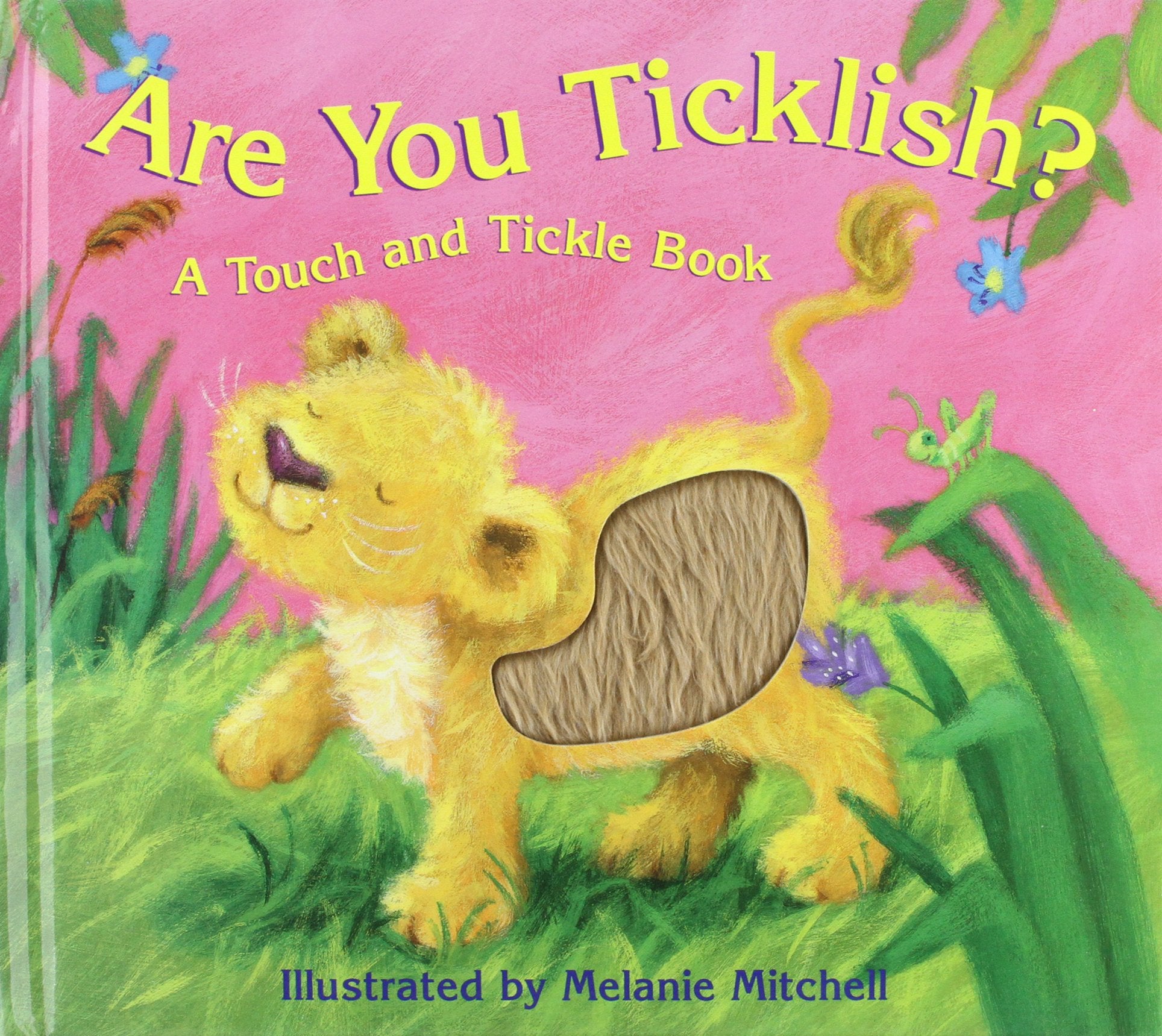 Are You Ticklish?: A Touch and Tickle Book,Used