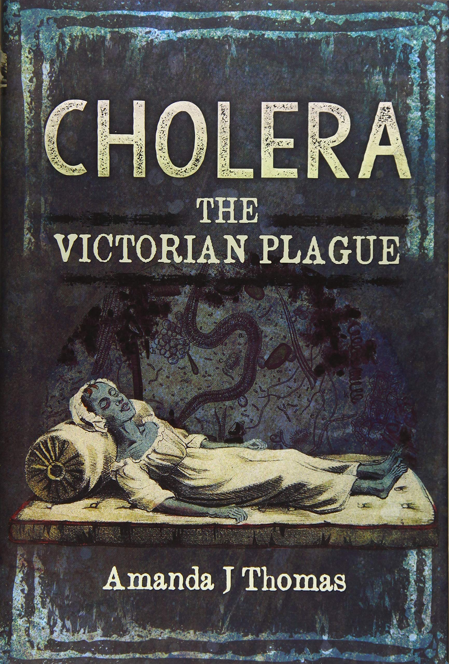 Cholera: The Victorian Plague,Used