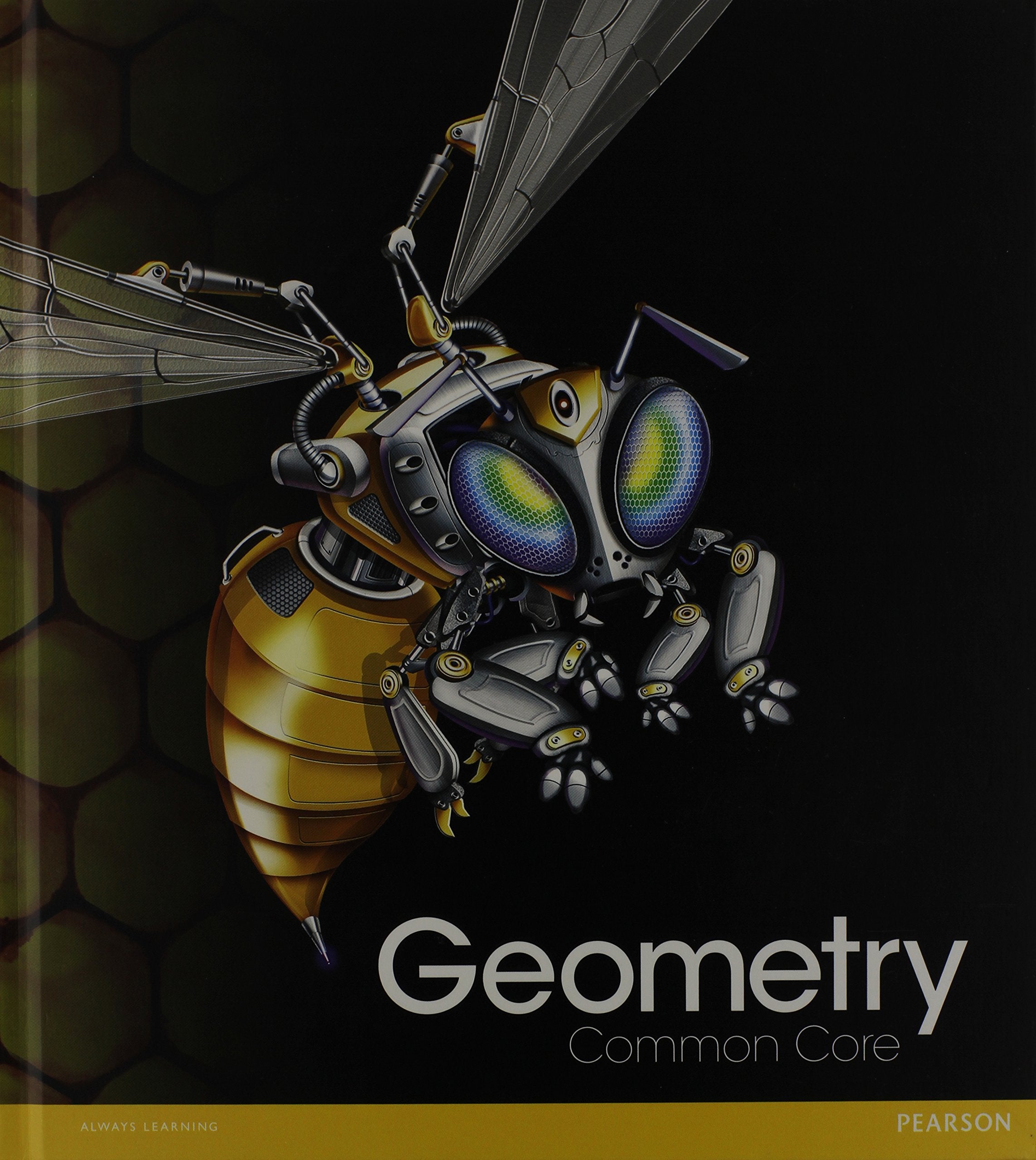 Geometry: Common Core Grade 10,Used