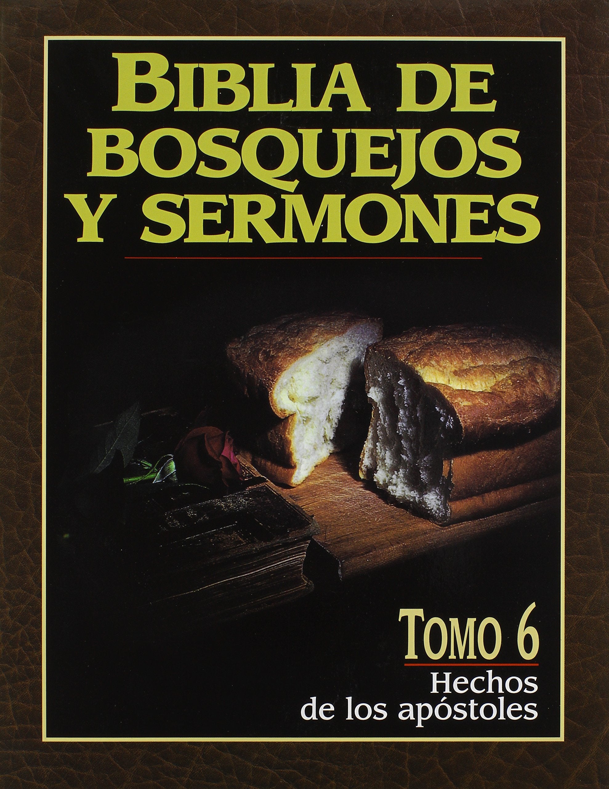 Biblia de bosquejos y sermones: Hechos (Biblia de Bosquejos y Sermones N.T.) (Spanish Edition),Used