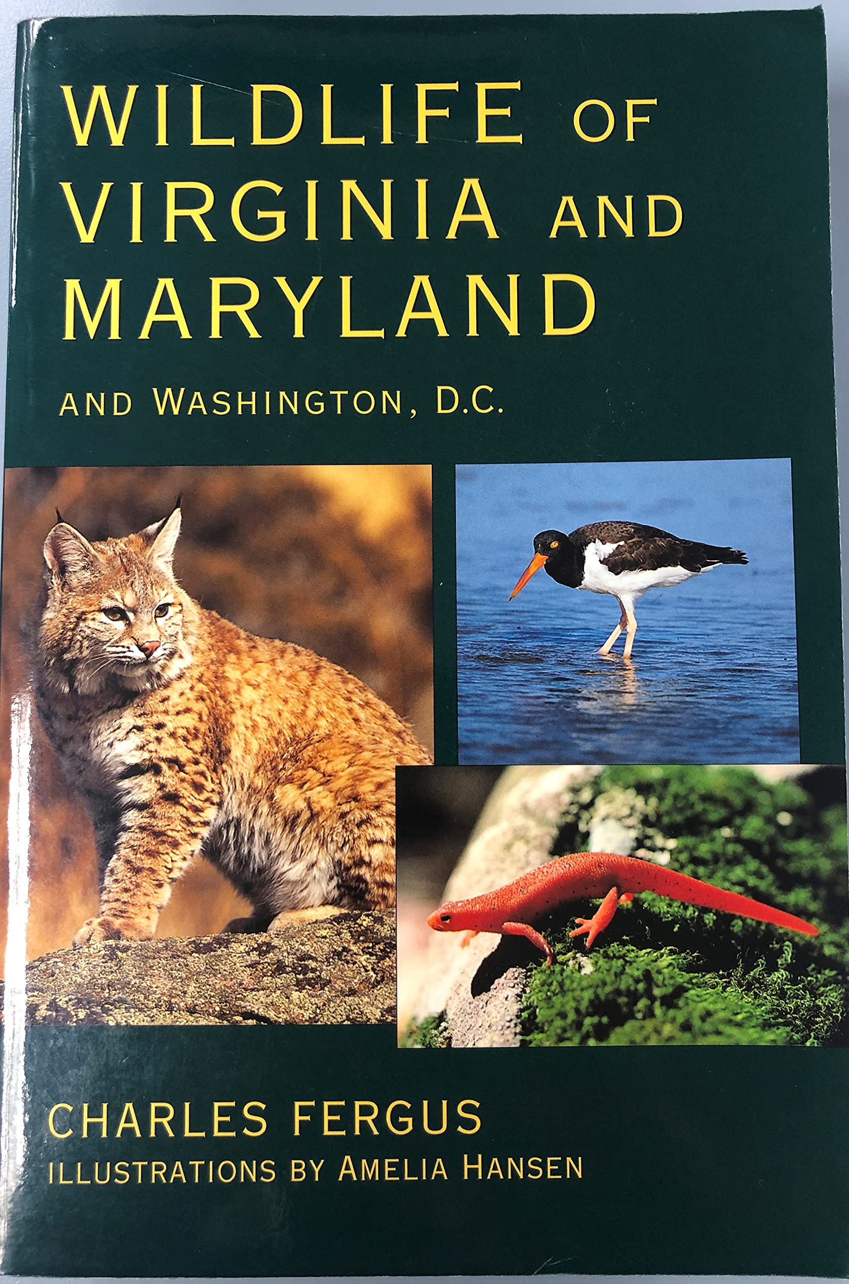 Wildlife Of Virginia And Maryland: And Washington, D.C.,Used