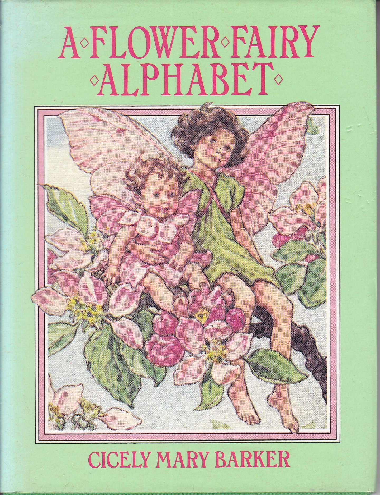 A flower fairy alphabet: Poems and pictures,Used