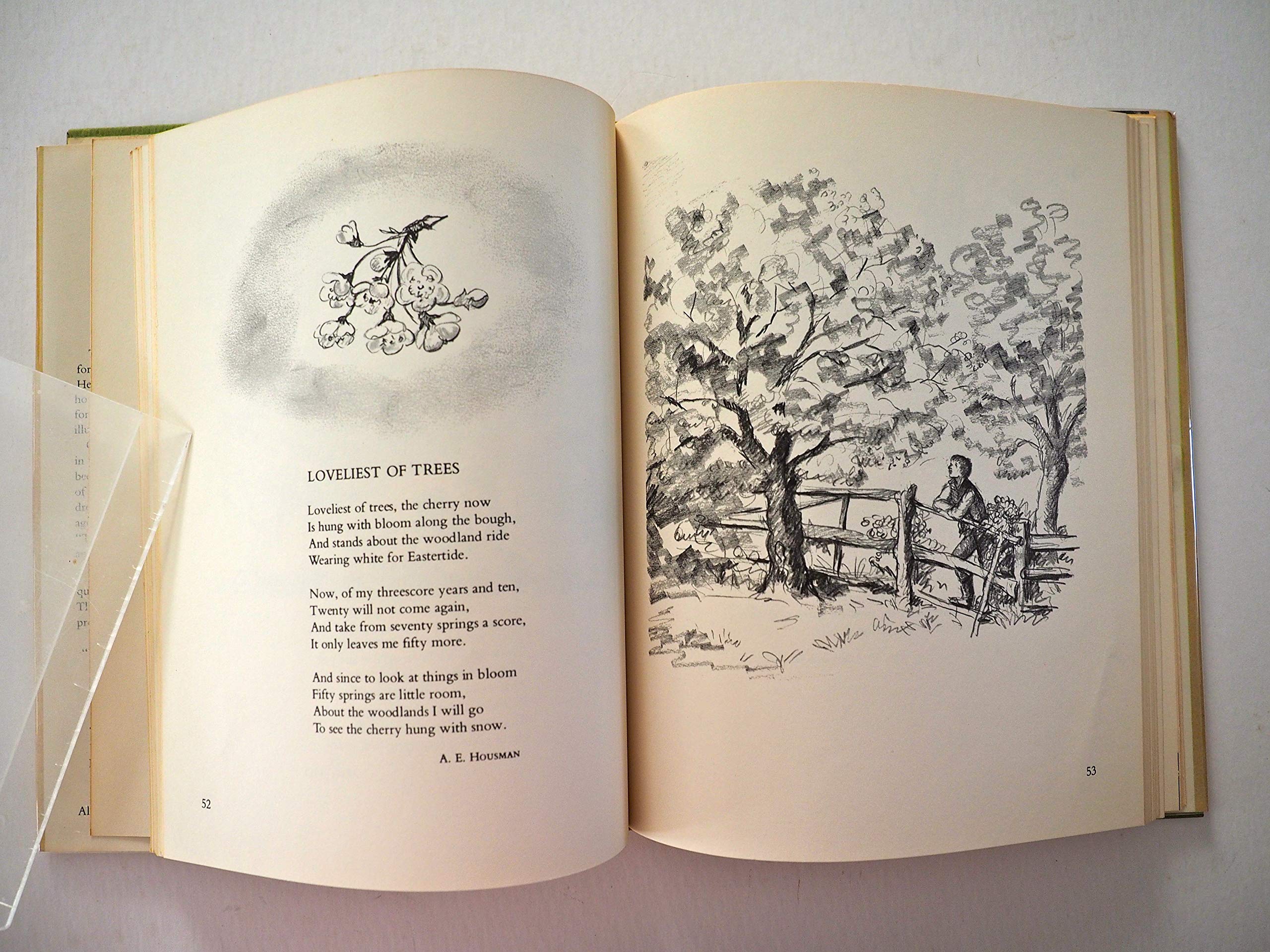 Wings from the Wind: An Anthology of Poems,New