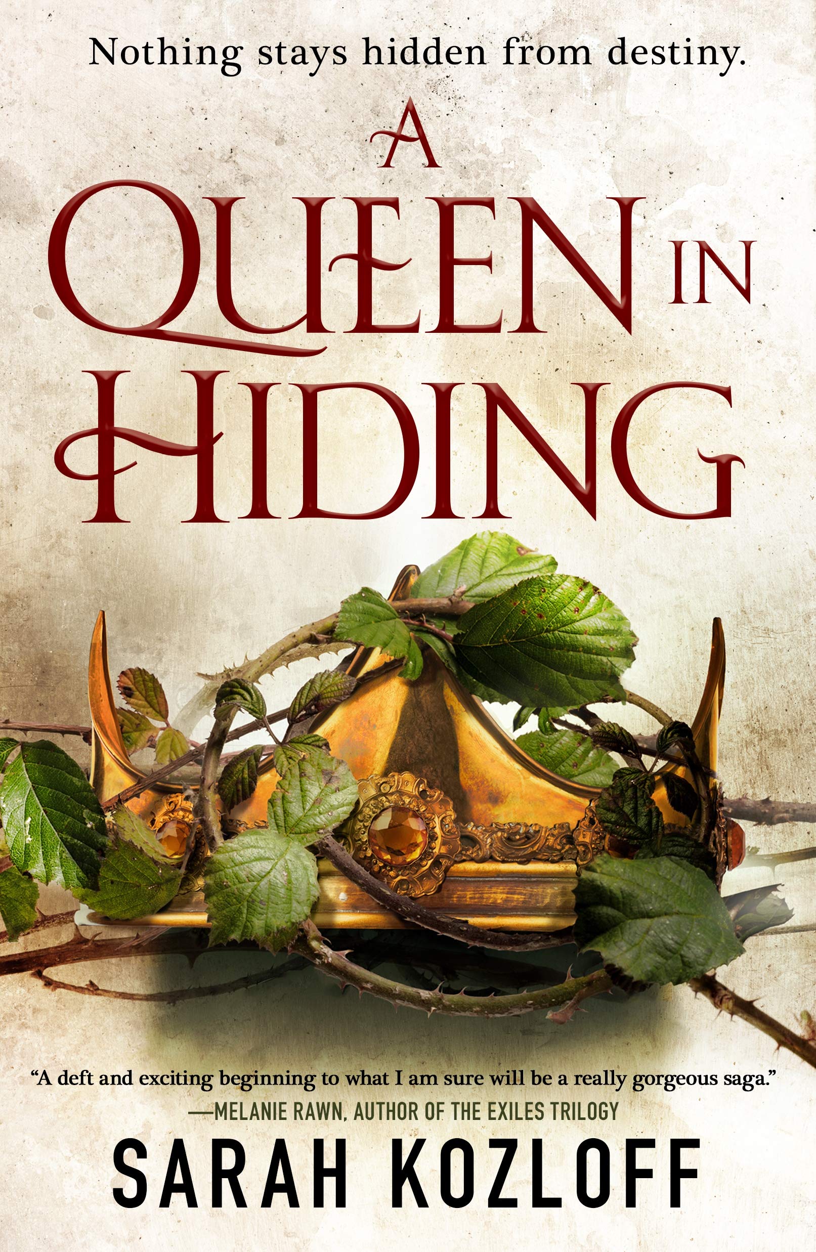 A Queen in Hiding (The Nine Realms, 1),Used