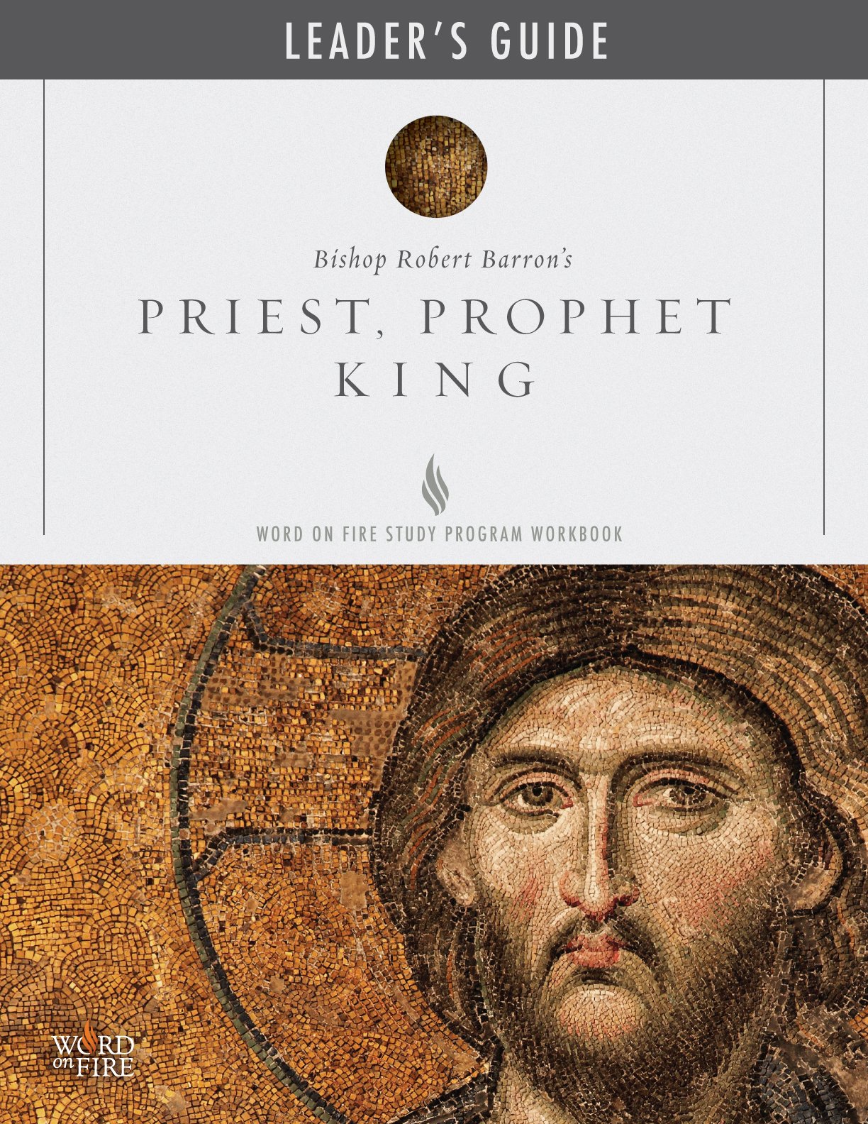 Priest, Prophet, King Leader Guide,New