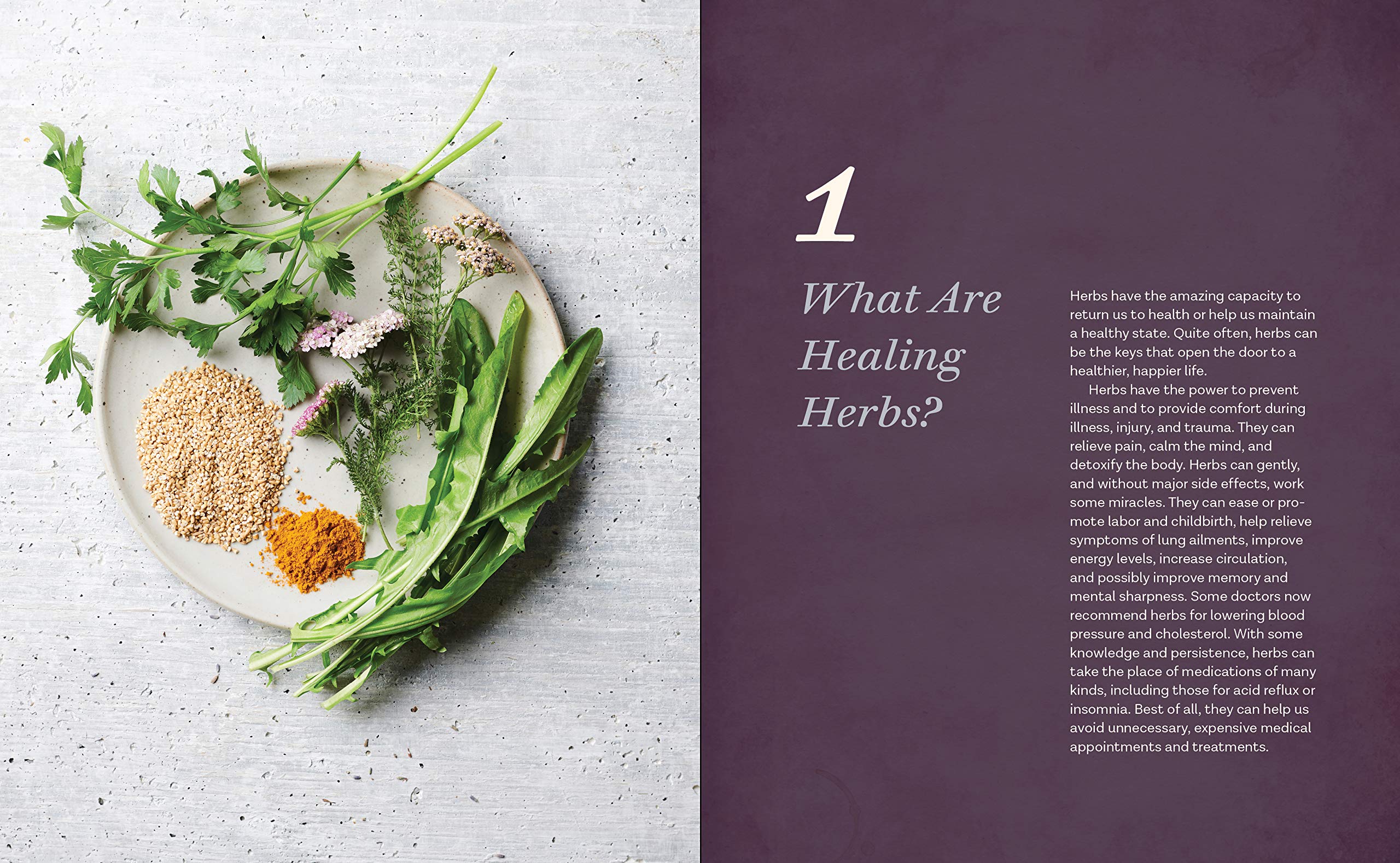 The Healing Power of Herbs: Medicinal Herbs for Common Ailments,Used