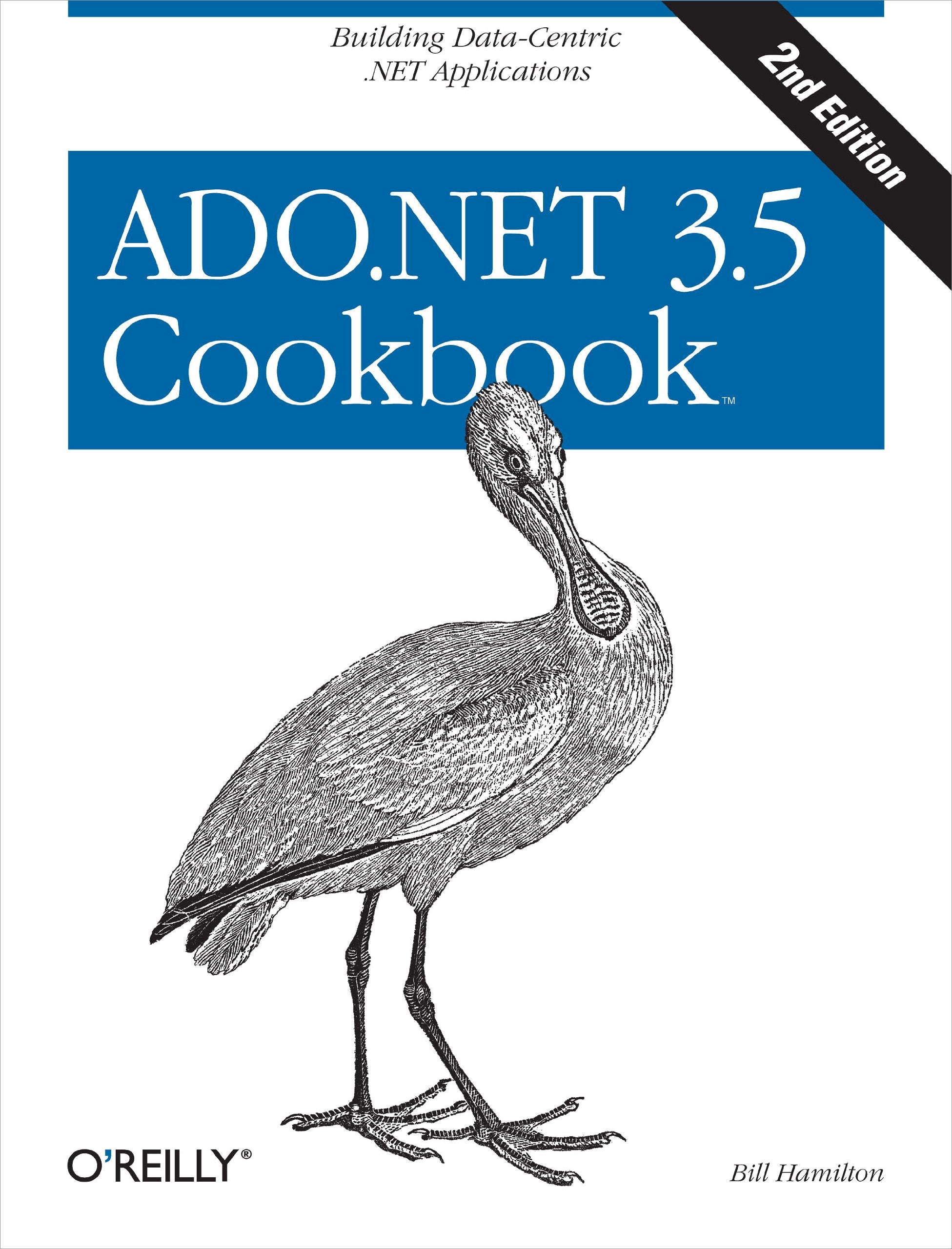 ADO.NET 3.5 Cookbook: Building DataCentric .NET Applications,New