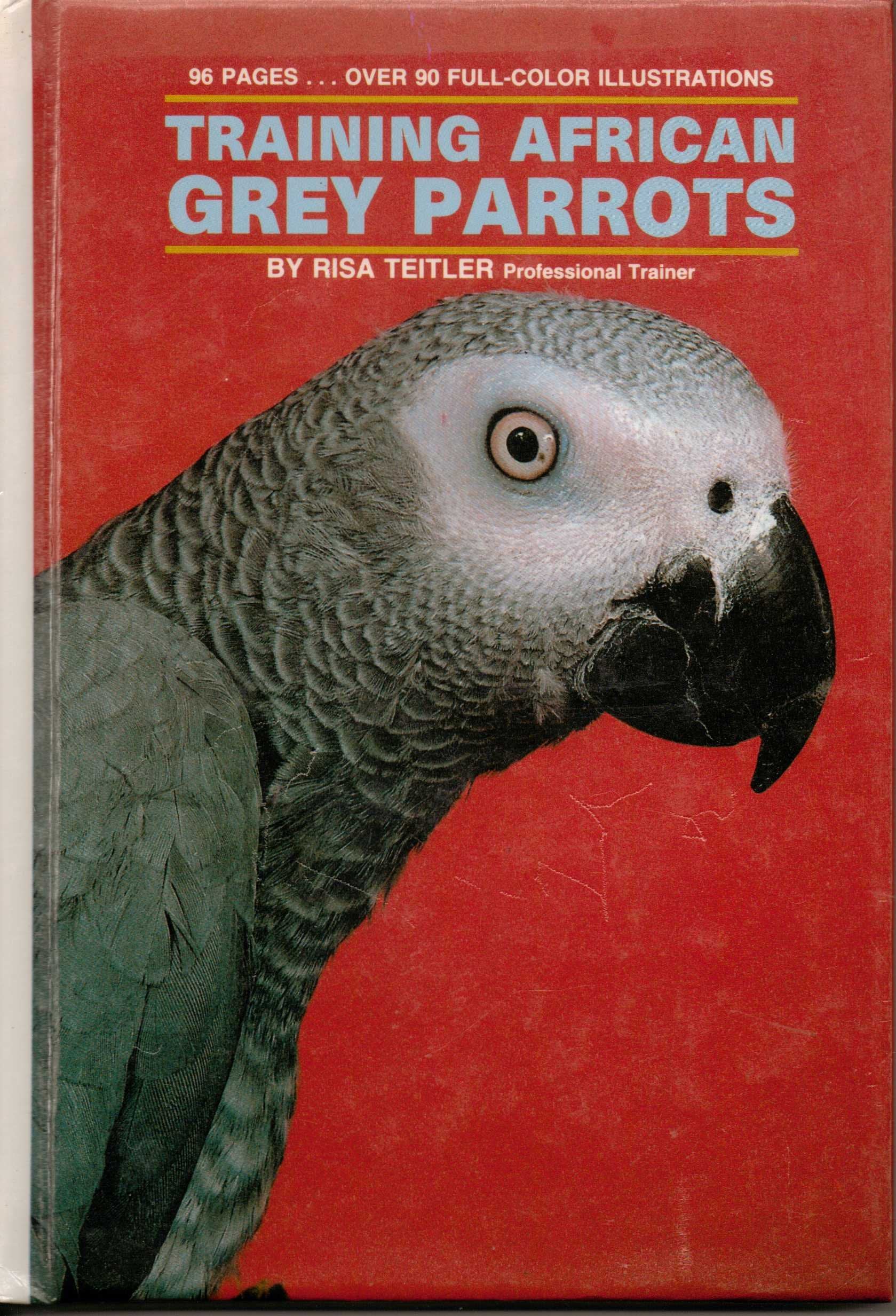 Training African Grey Parrots,Used