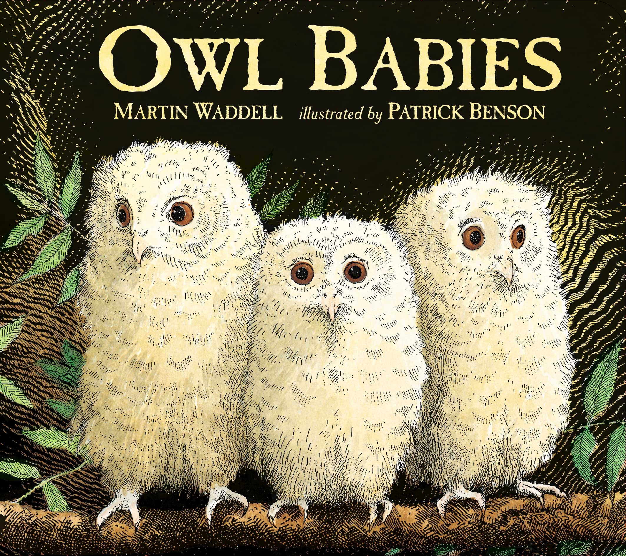 Owl Babies 25th ANNIVERSARY ED BOARD,Used