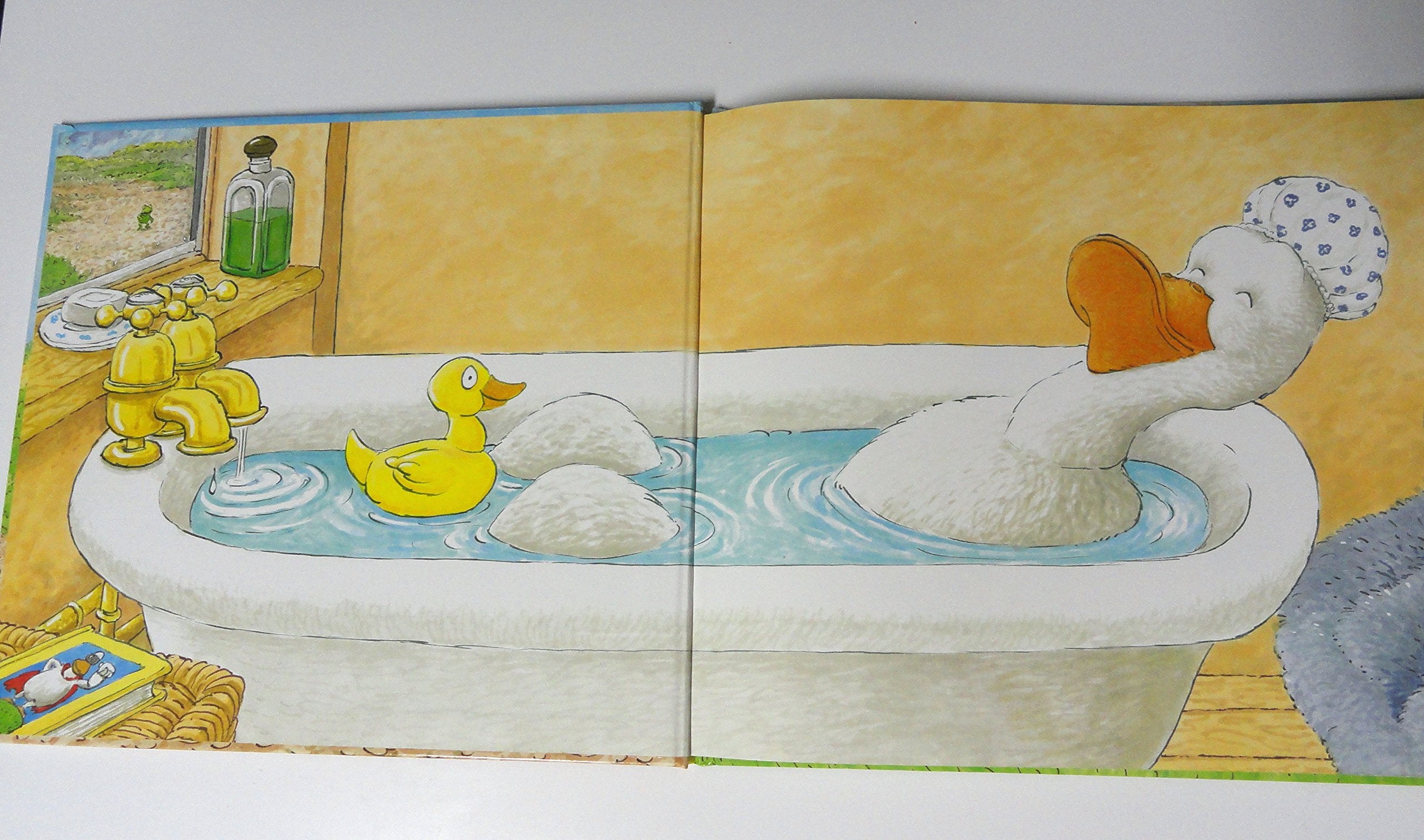 FixIt Duck,Used