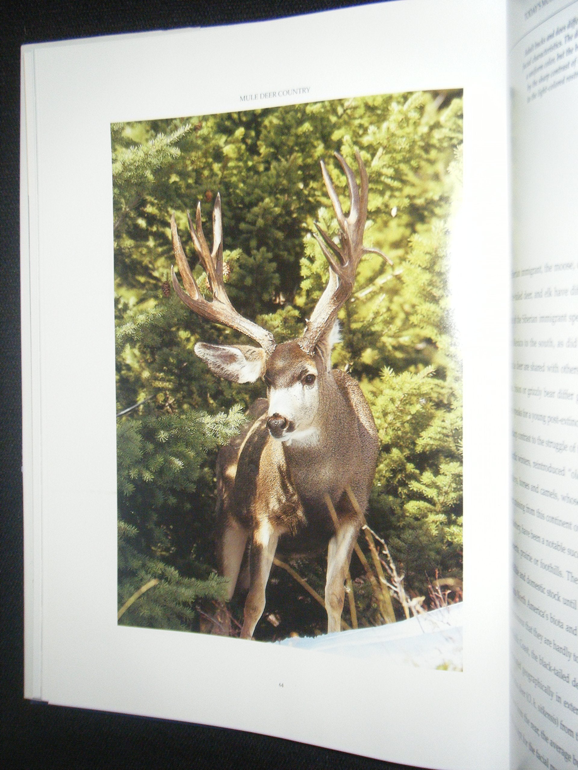 Mule Deer Country,Used
