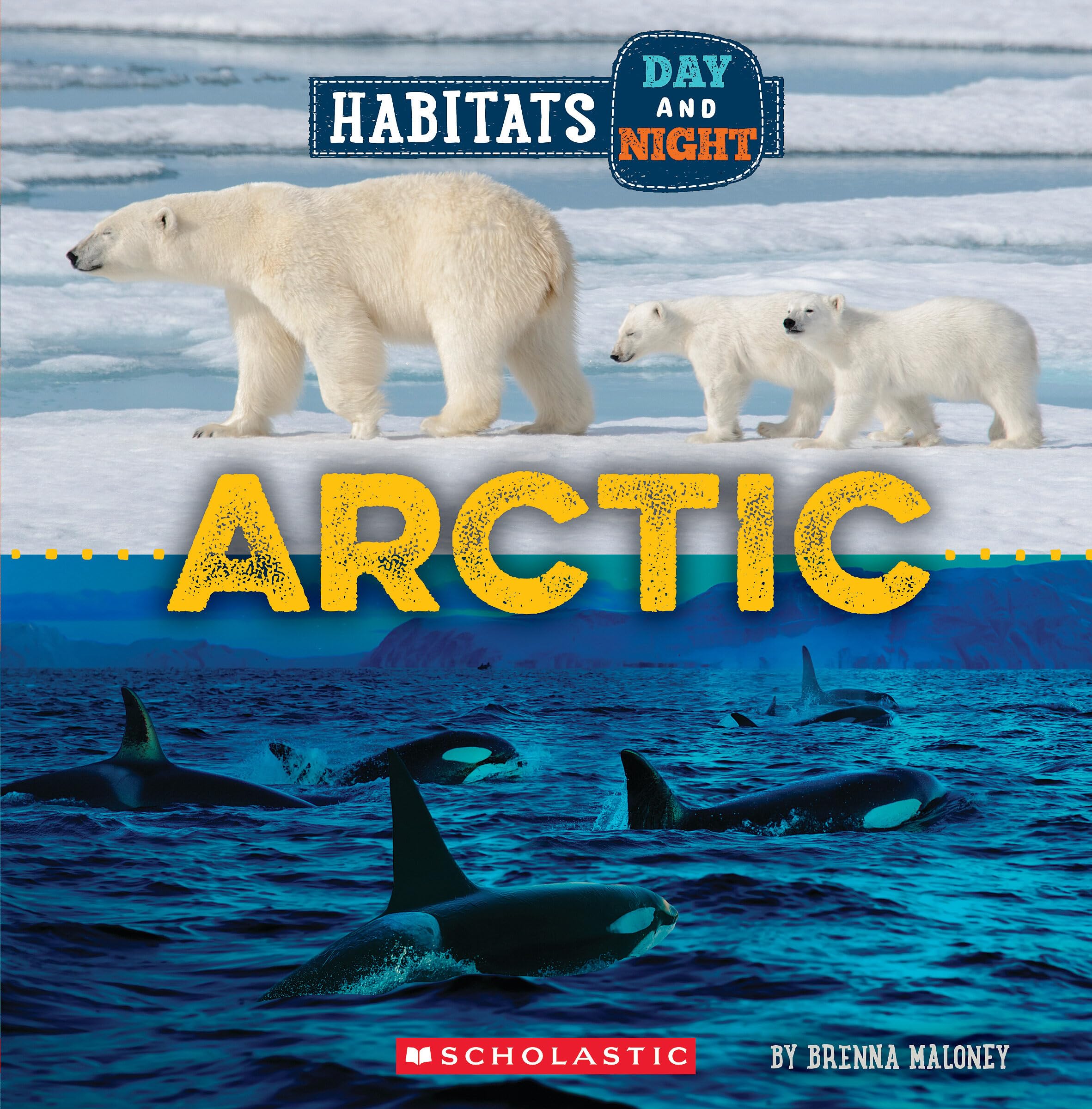 Arctic (Wild World: Habitats Day And Night),Used