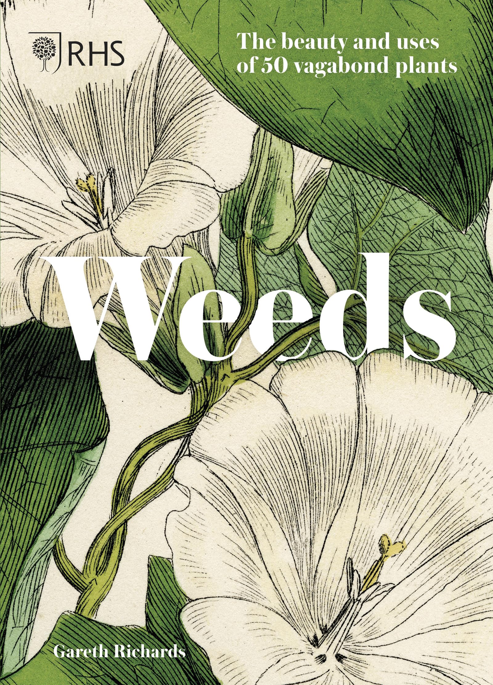 Weeds: The beauty and uses of 50 vagabond plants,Used