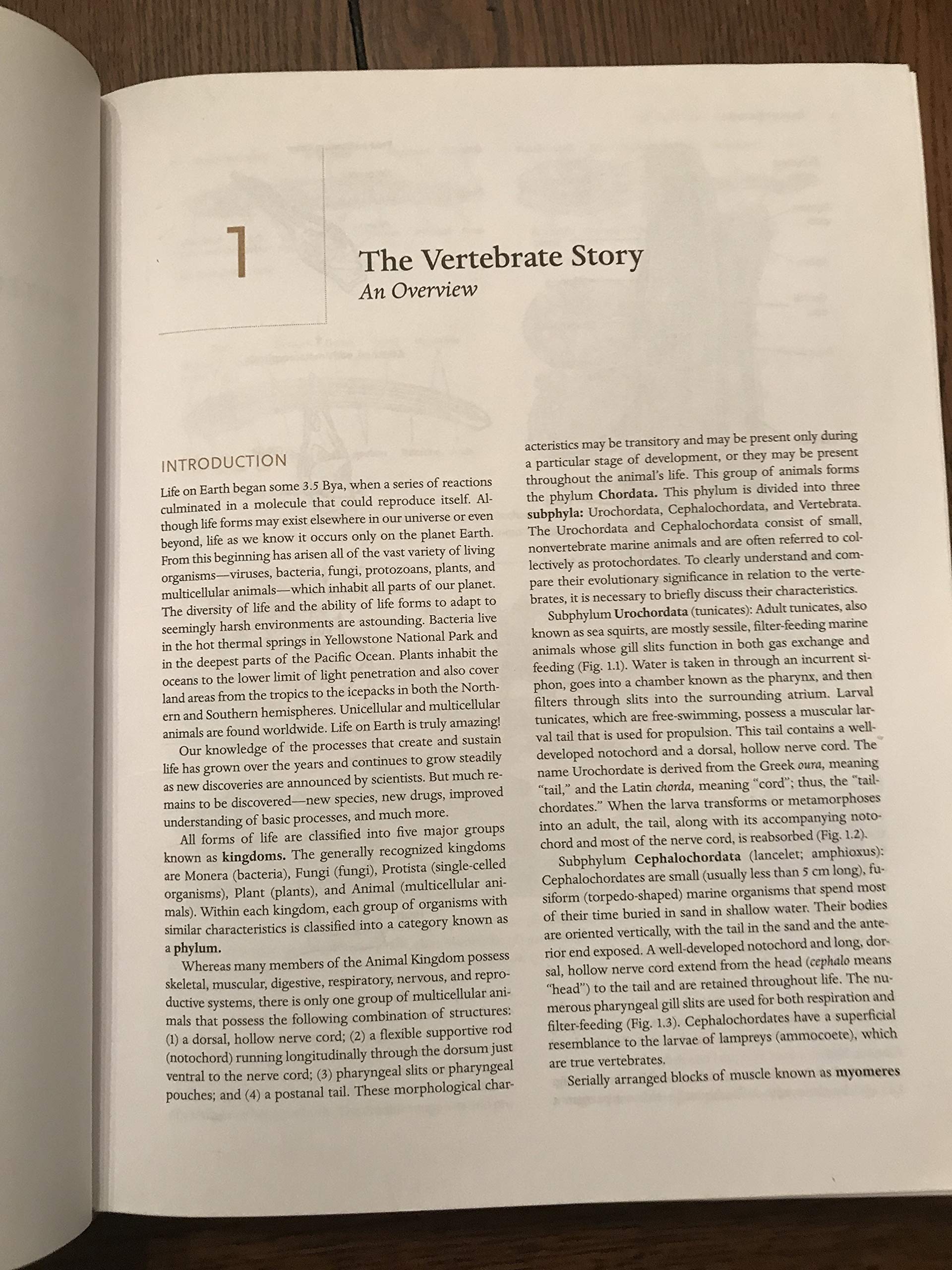 Vertebrate Biology,Used