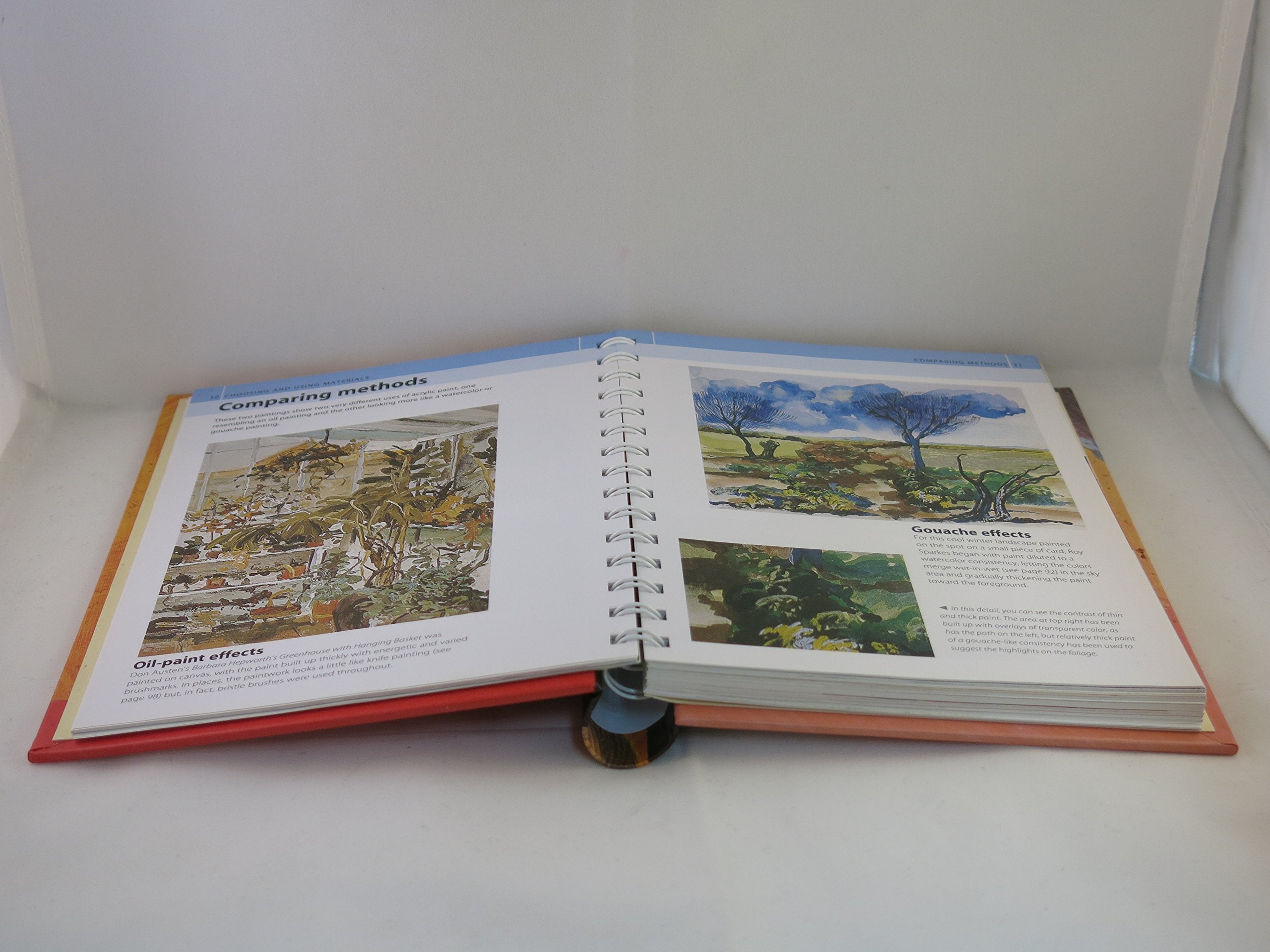 Acrylic Artist's Bible (Artist's Bibles),Used