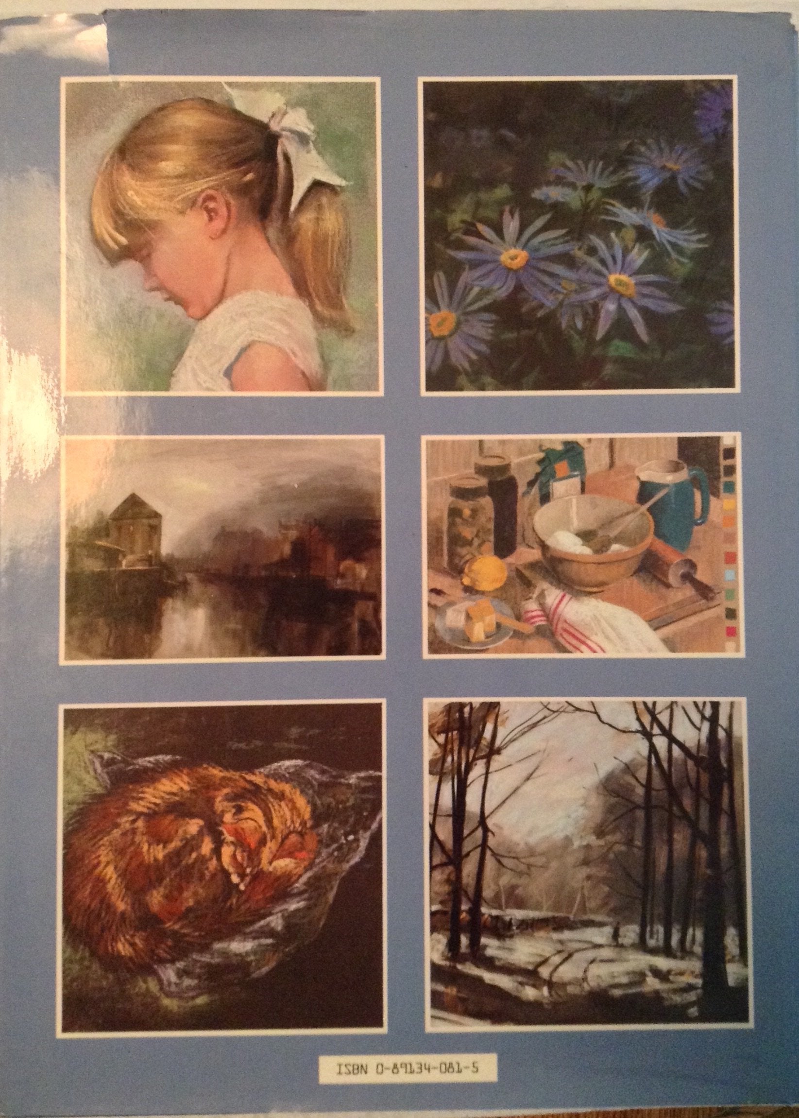 Painting with Pastel,Used