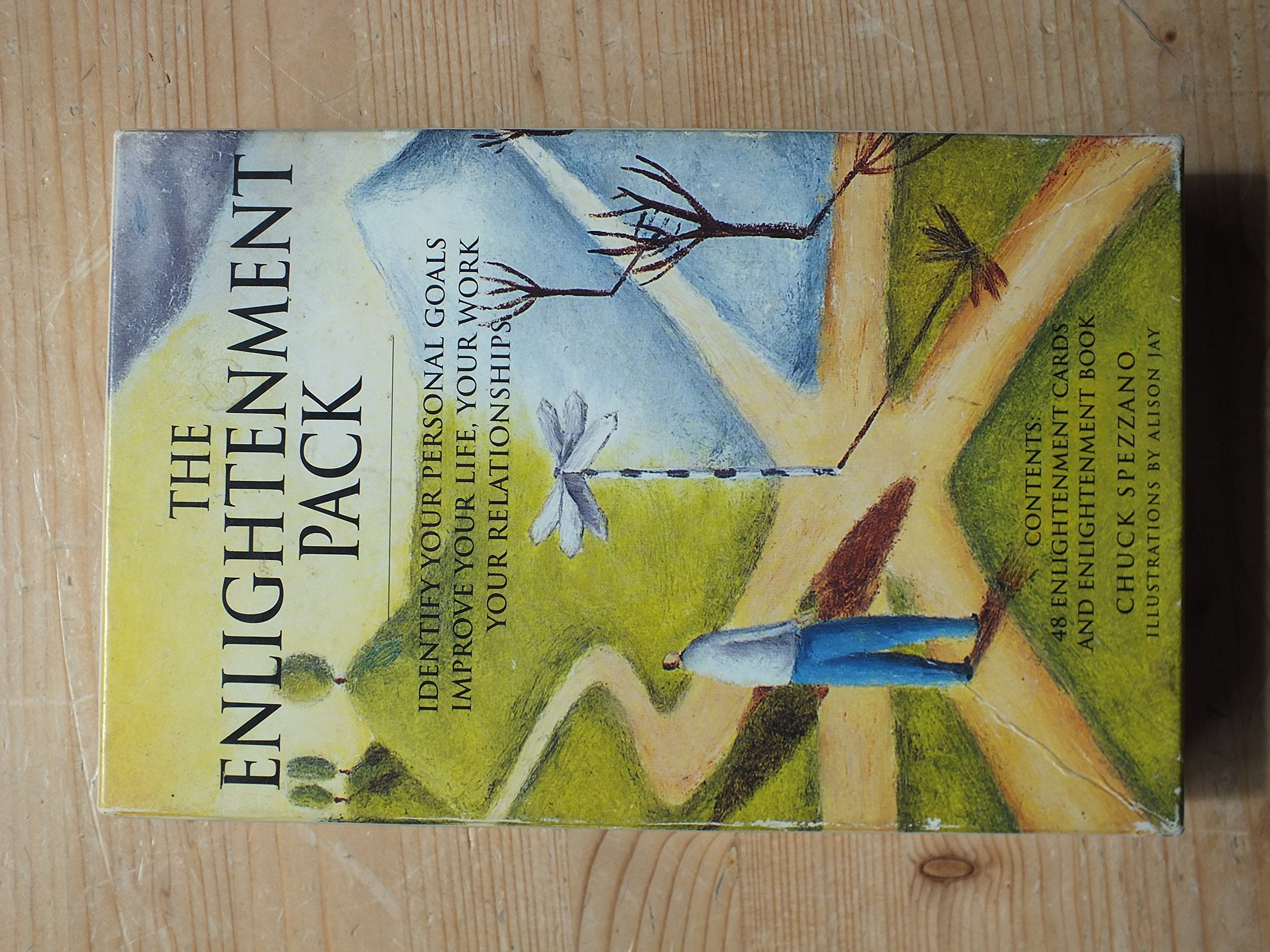 The Enlightenment Pack: Identify Your Personal Goals, Improve Your Life, Your Work, Your Relationships/Includes Book and 48 Card,Used