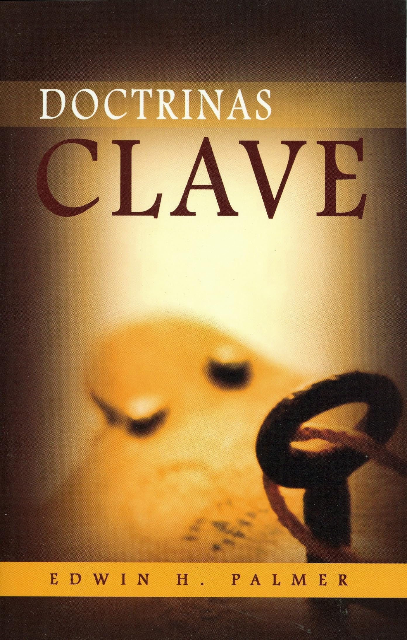 Doctrinas Clave (Spanish Edition),Used