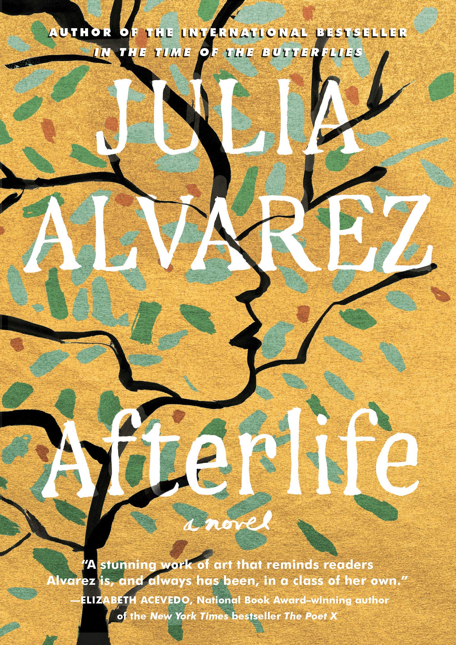Afterlife (Thorndike Press Large Print Basic Series),Used