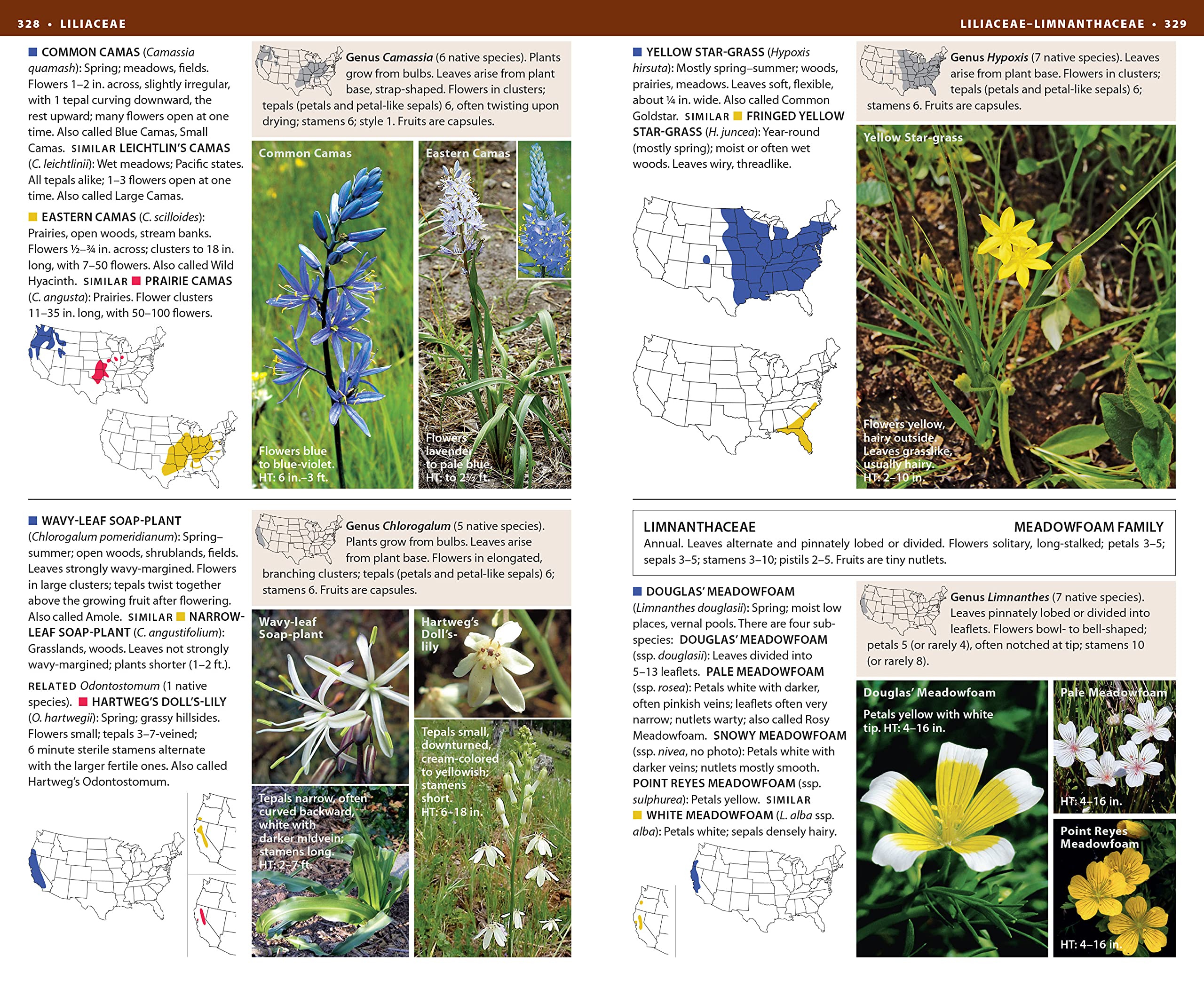 National Wildlife Federation Field Guide to Wildflowers of North America,Used
