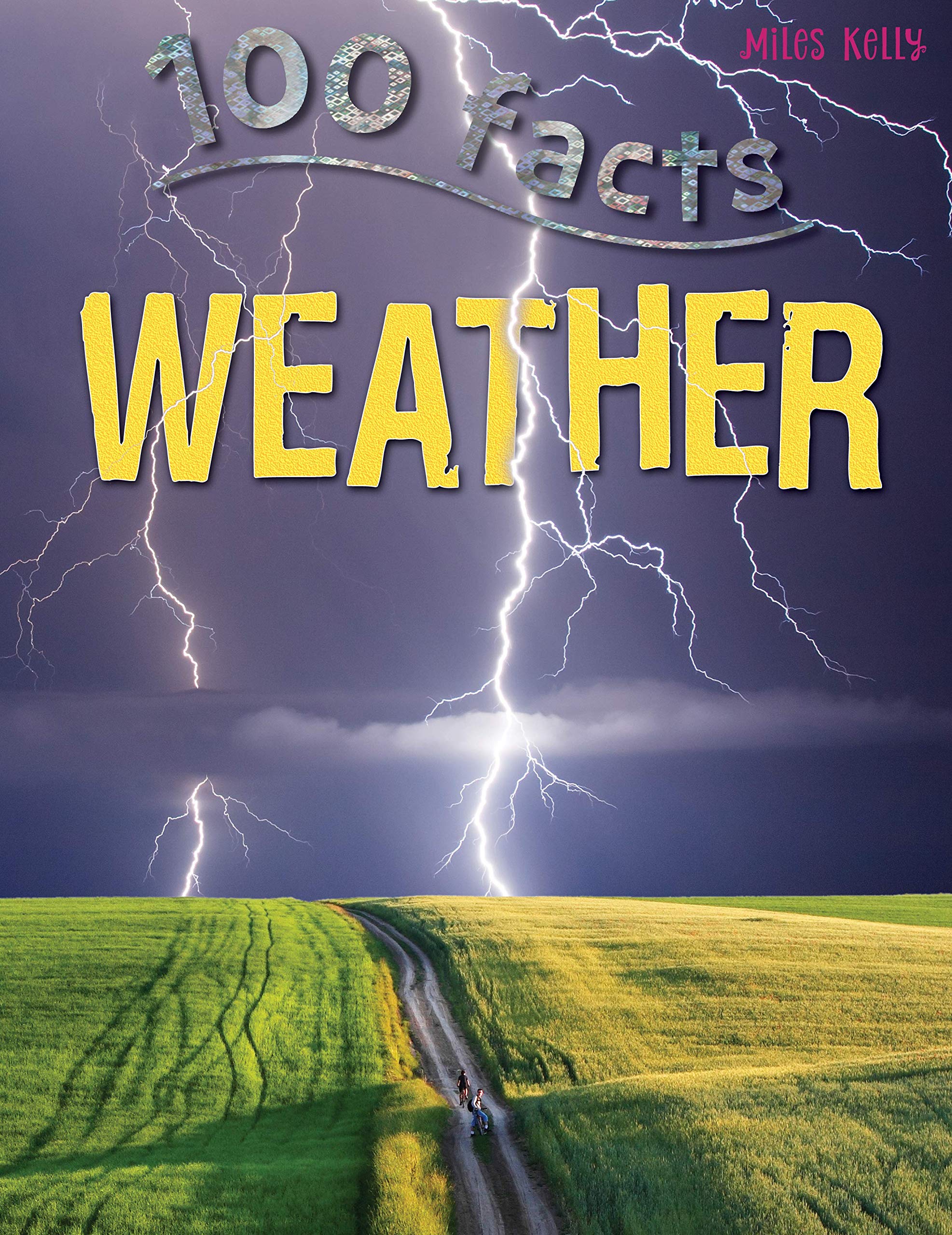 100 Facts Weather: Battle Through Rain, Wind and Blizzards As You Get to Grips With Wild Weather!,Used