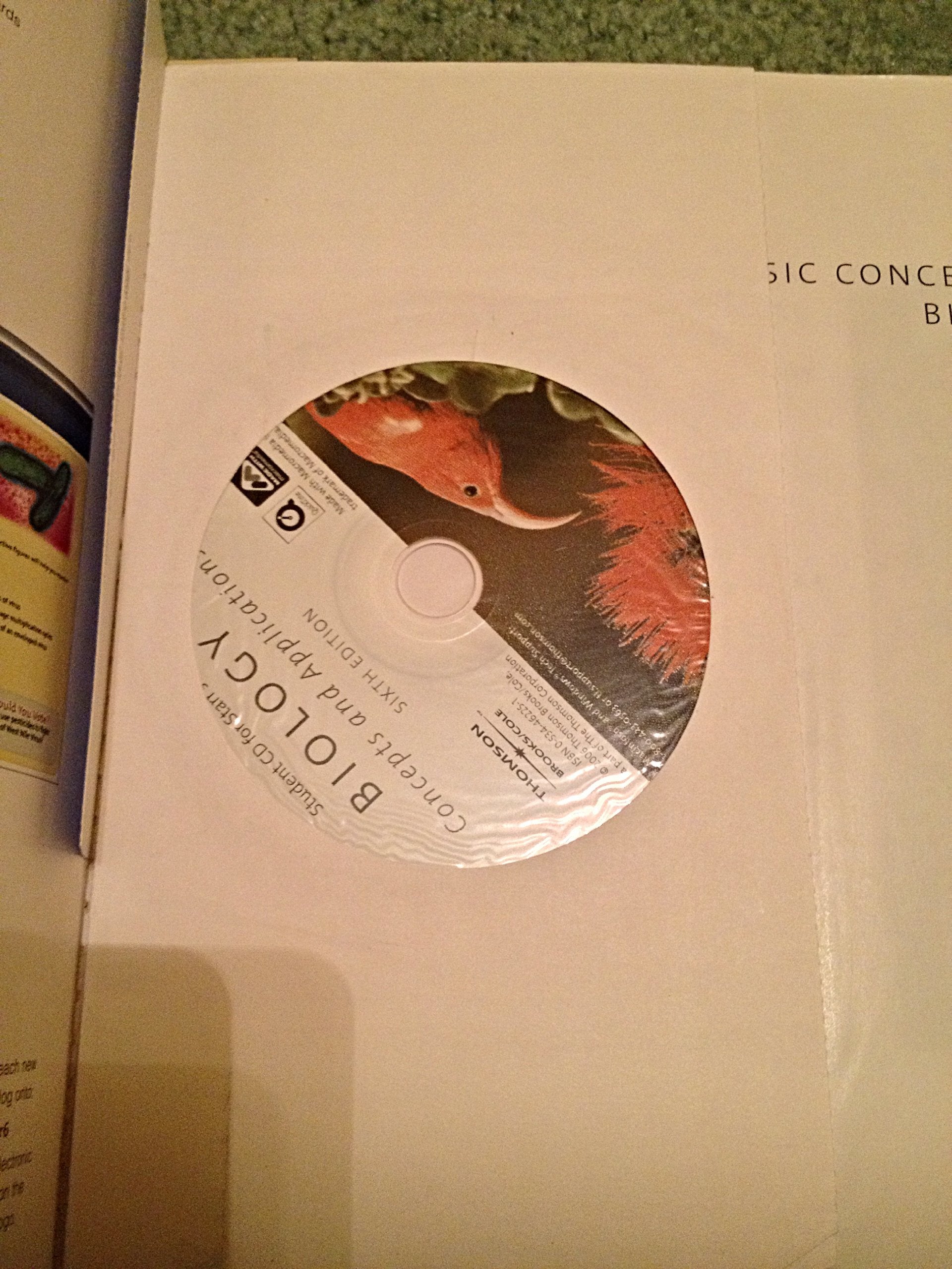 Basic Concepts in Biology (Brooks/Cole Biology),Used
