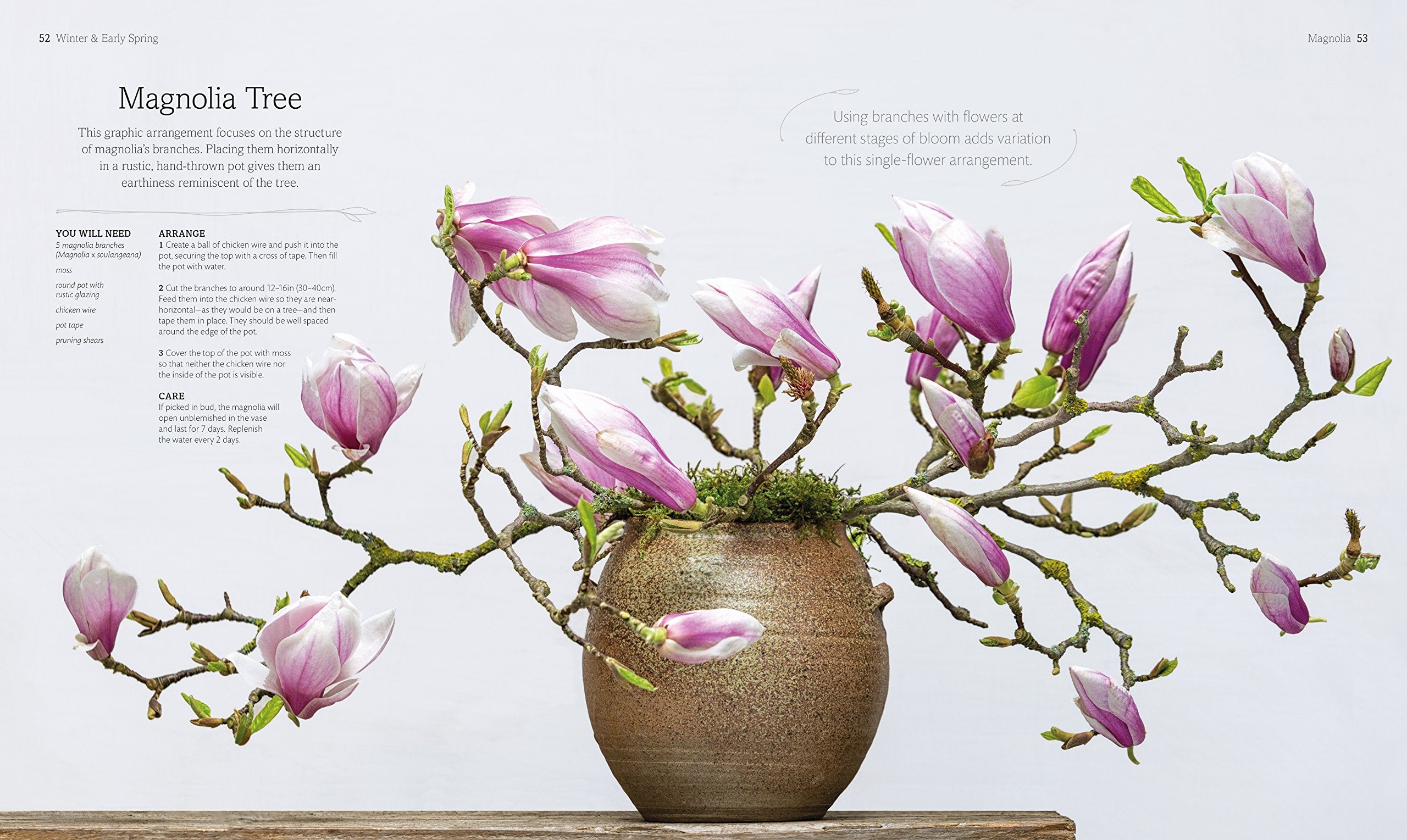 The Flower Book: Let the Beauty of Each Bloom Speak for Itself,Used