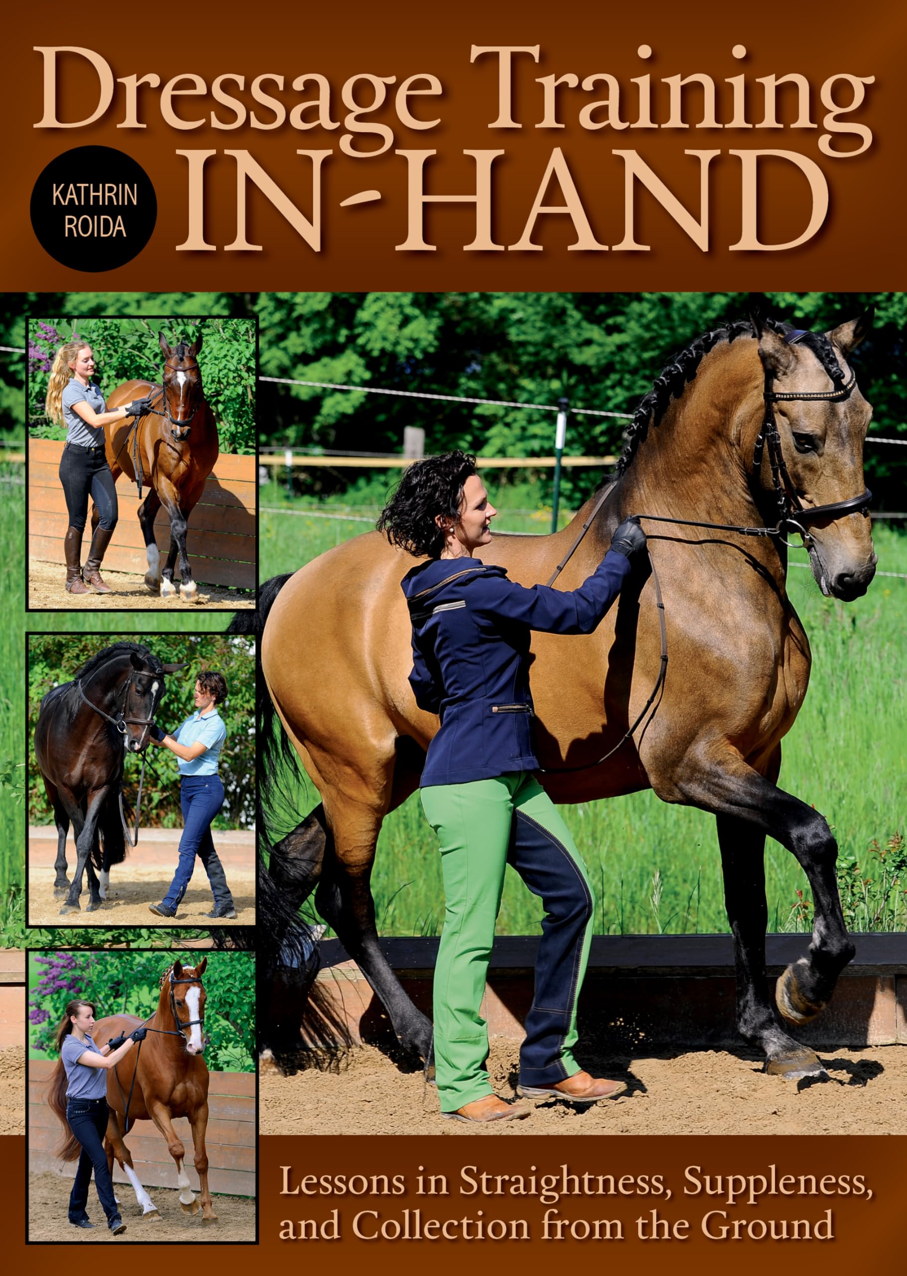 Dressage Training InHand: Lessons in Straightness, Suppleness, and Collection from the Ground,Used