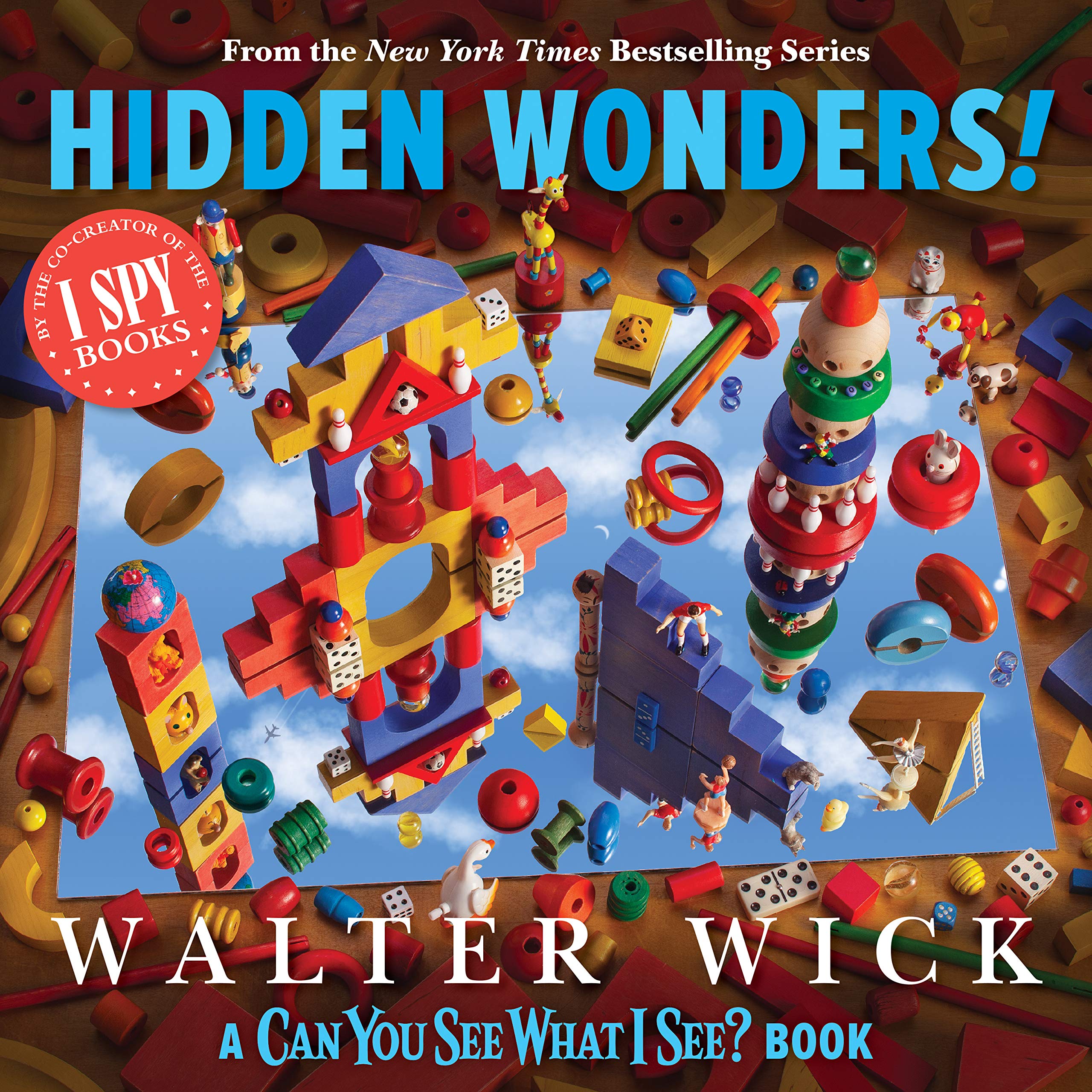 Can You See What I See?: Hidden Wonders (From the CoCreator of I Spy),Used