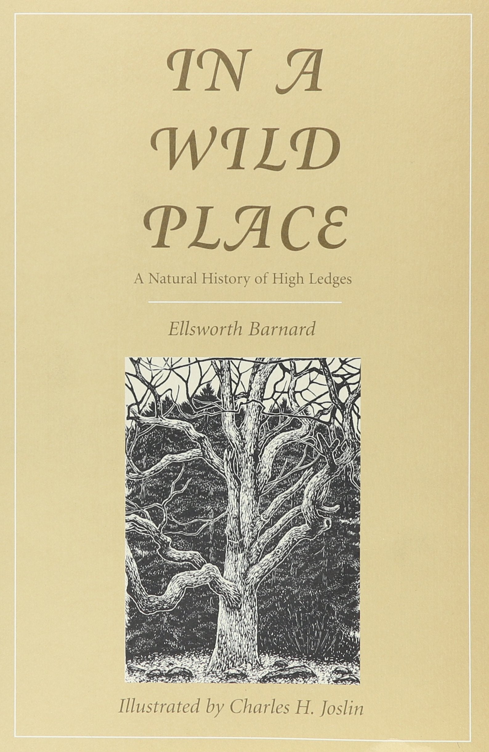 In a Wild Place: A Natural History of High Ledges (Massachusetts Audubon Society),Used