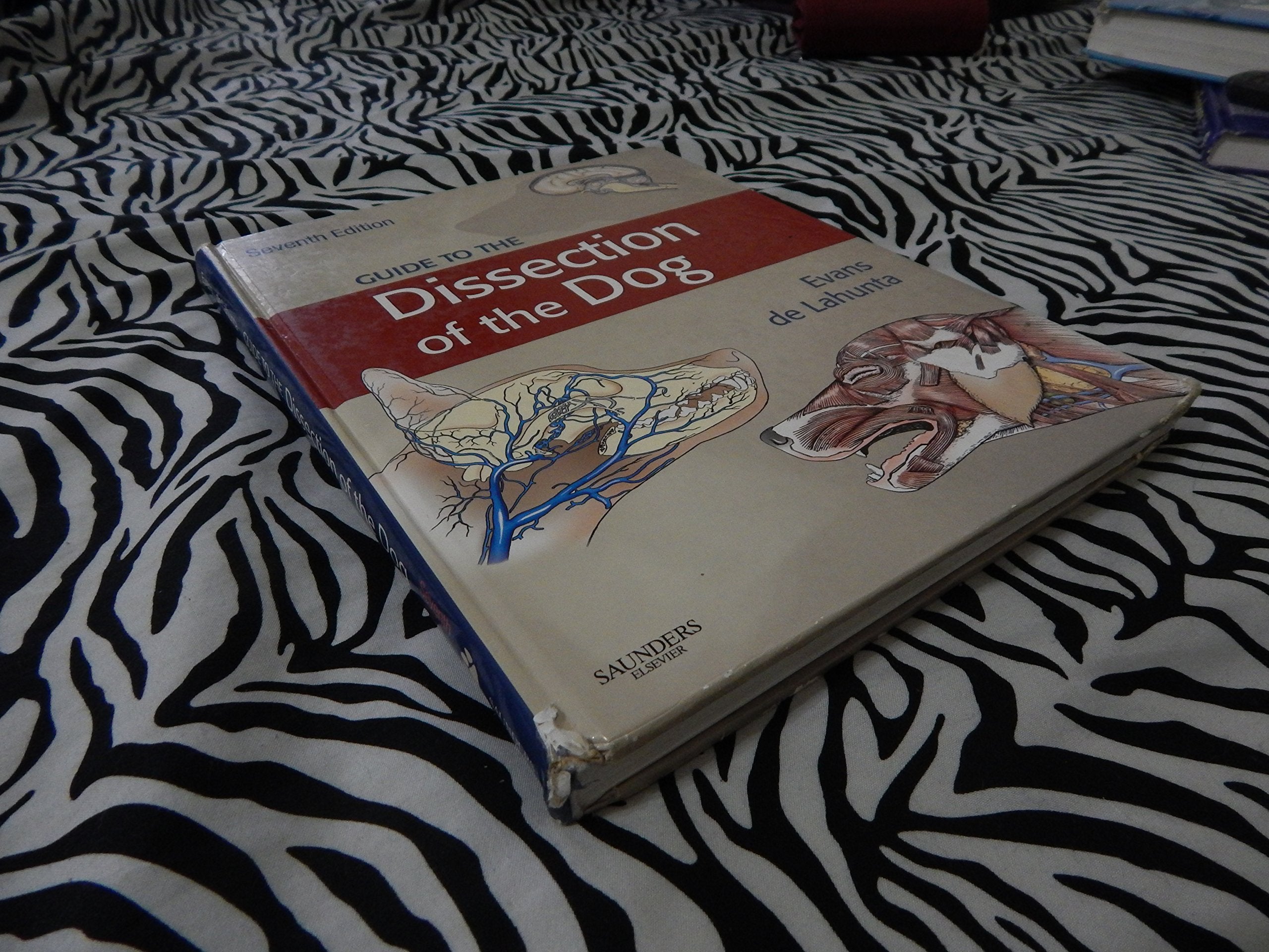 Guide to the Dissection of the Dog,Used