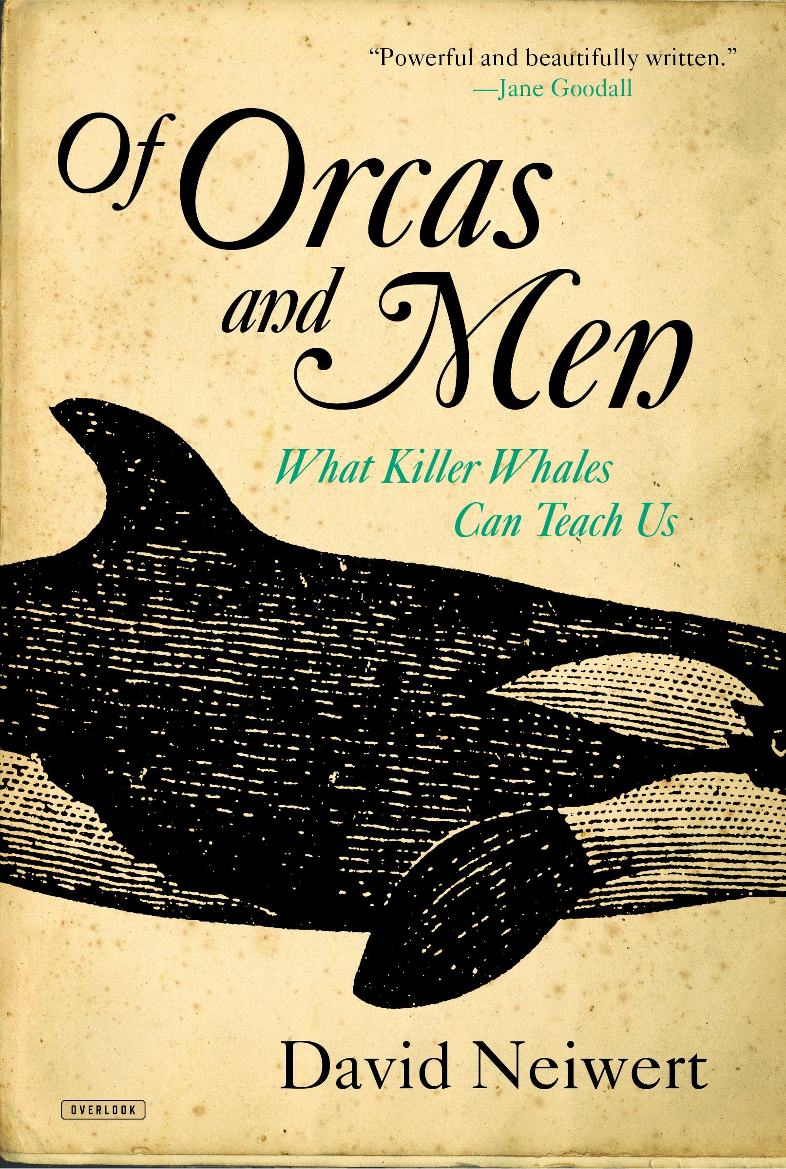 Of Orcas And Men: What Killer Whales Can Teach Us