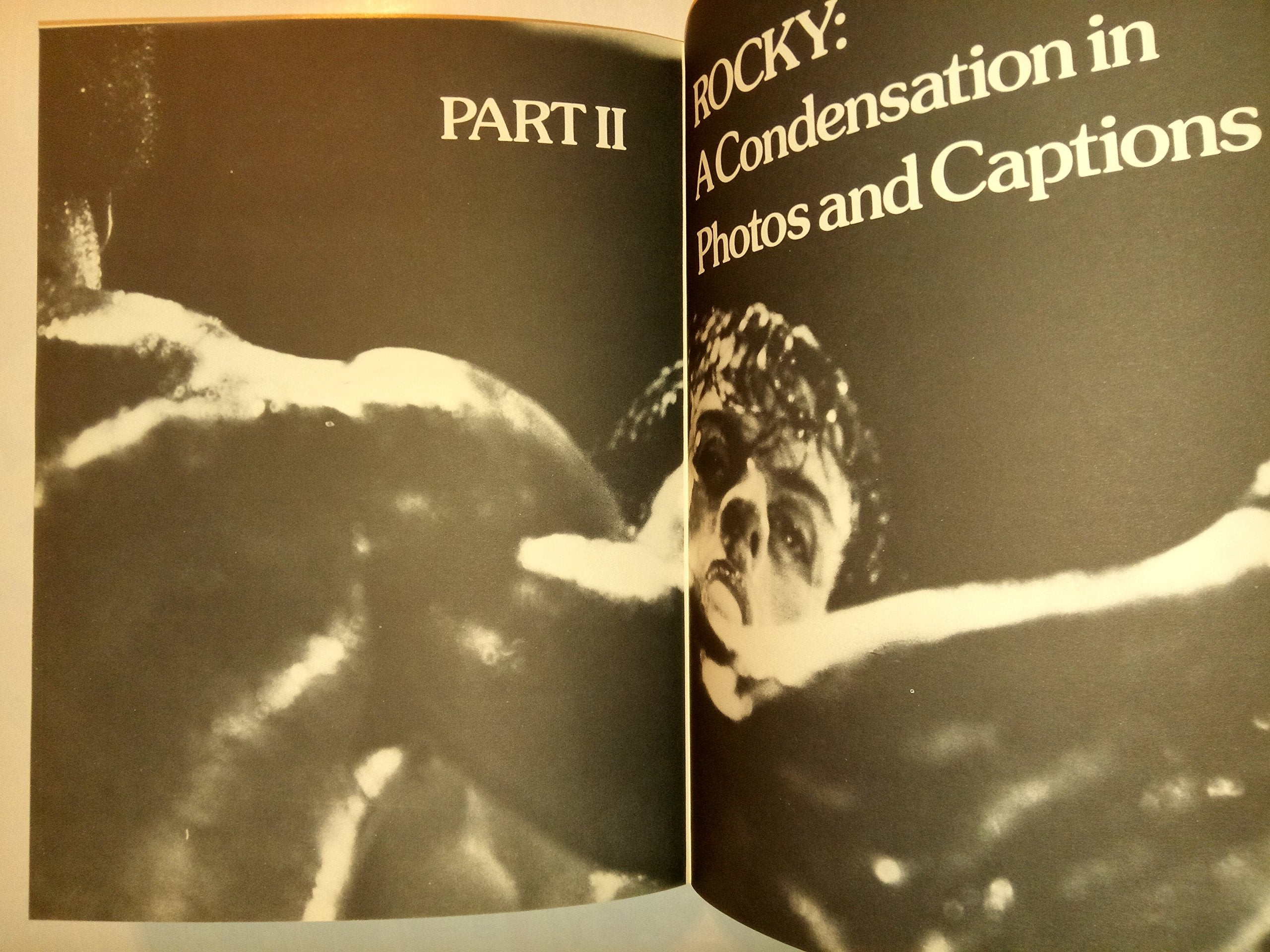The Official Rocky Scrapbook,Used