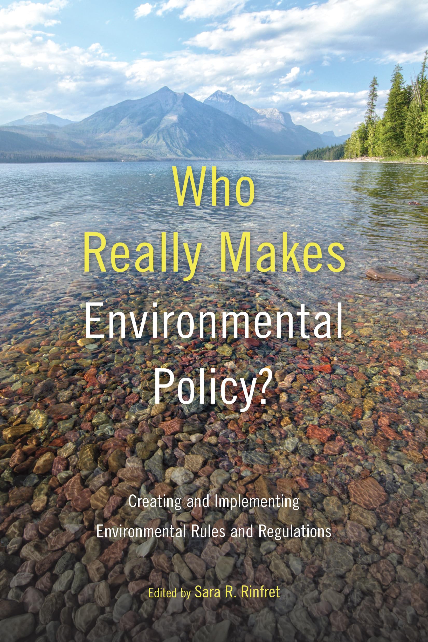 Who Really Makes Environmental Policy?: Creating and Implementing Environmental Rules and Regulations,Used