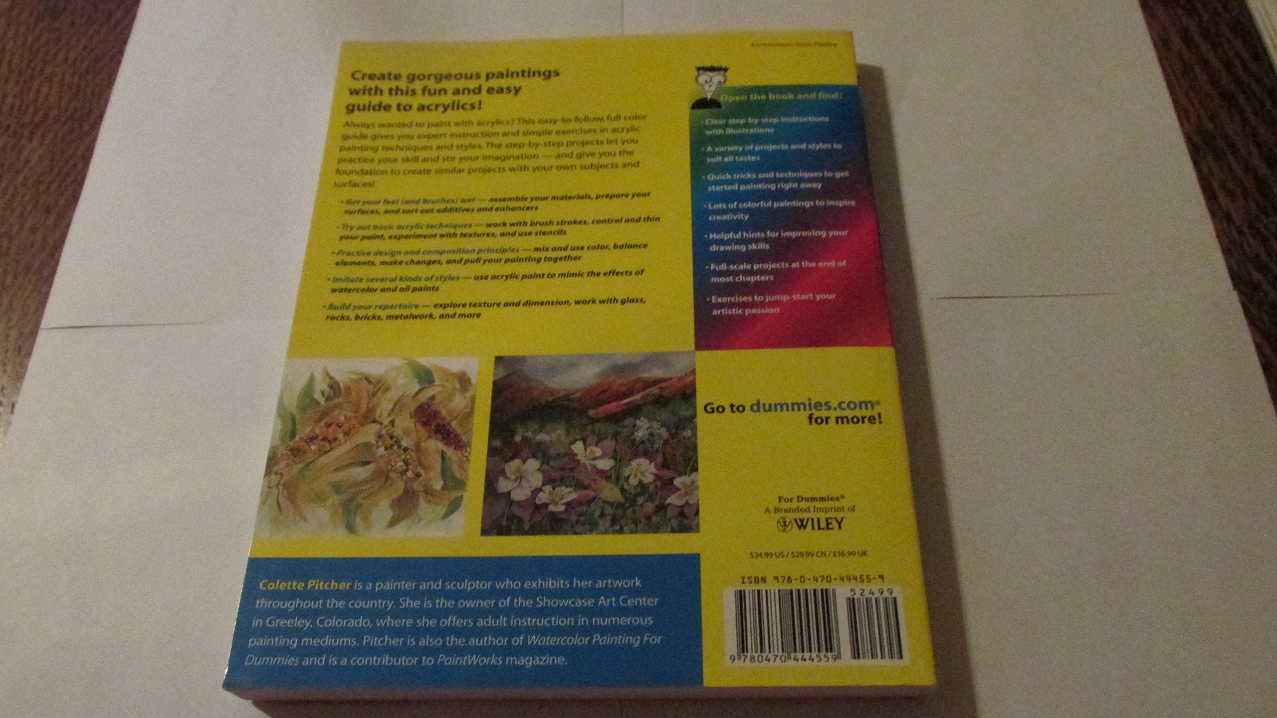 Acrylic Painting for Dummies,Used