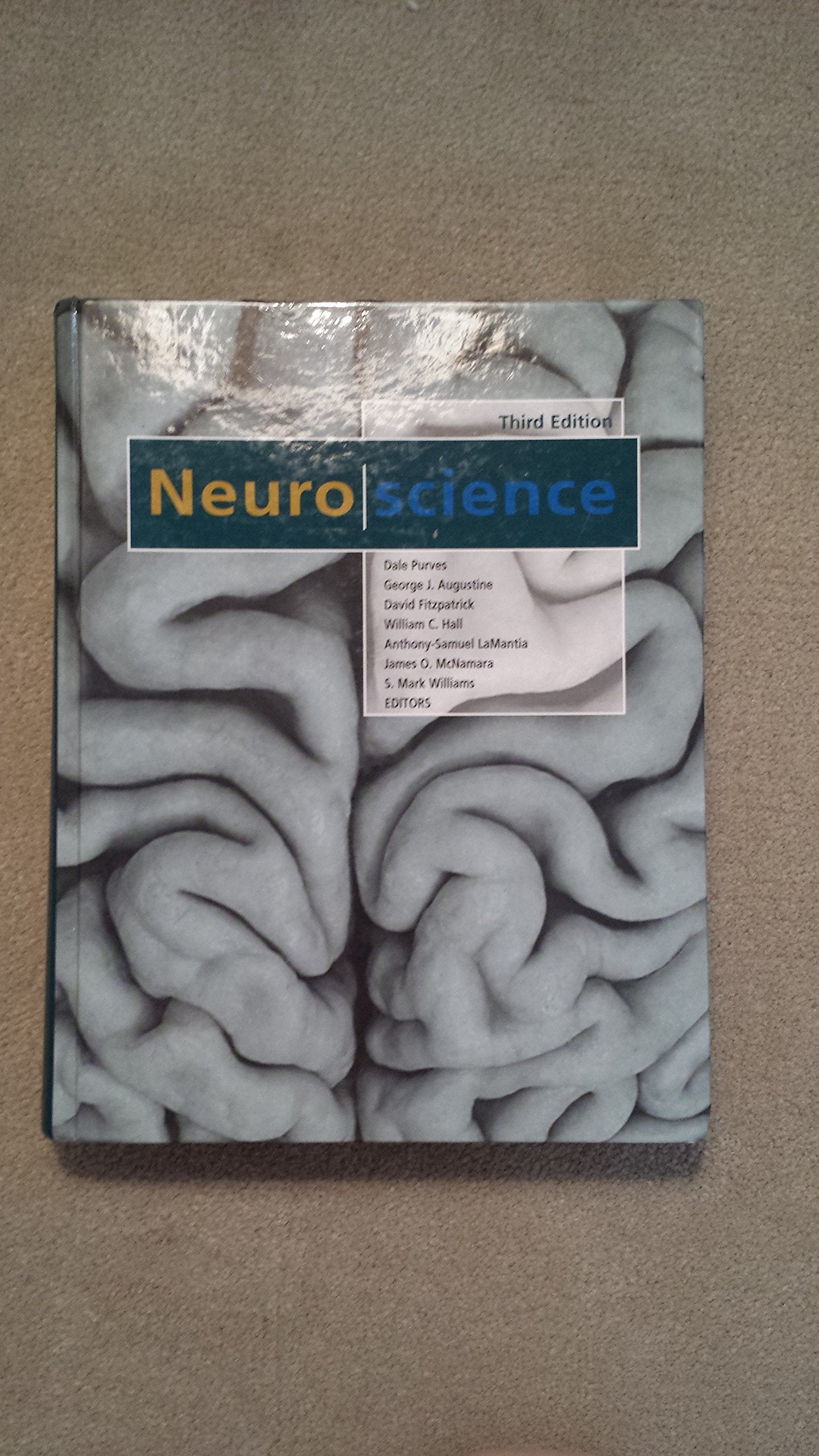 Neuroscience,New