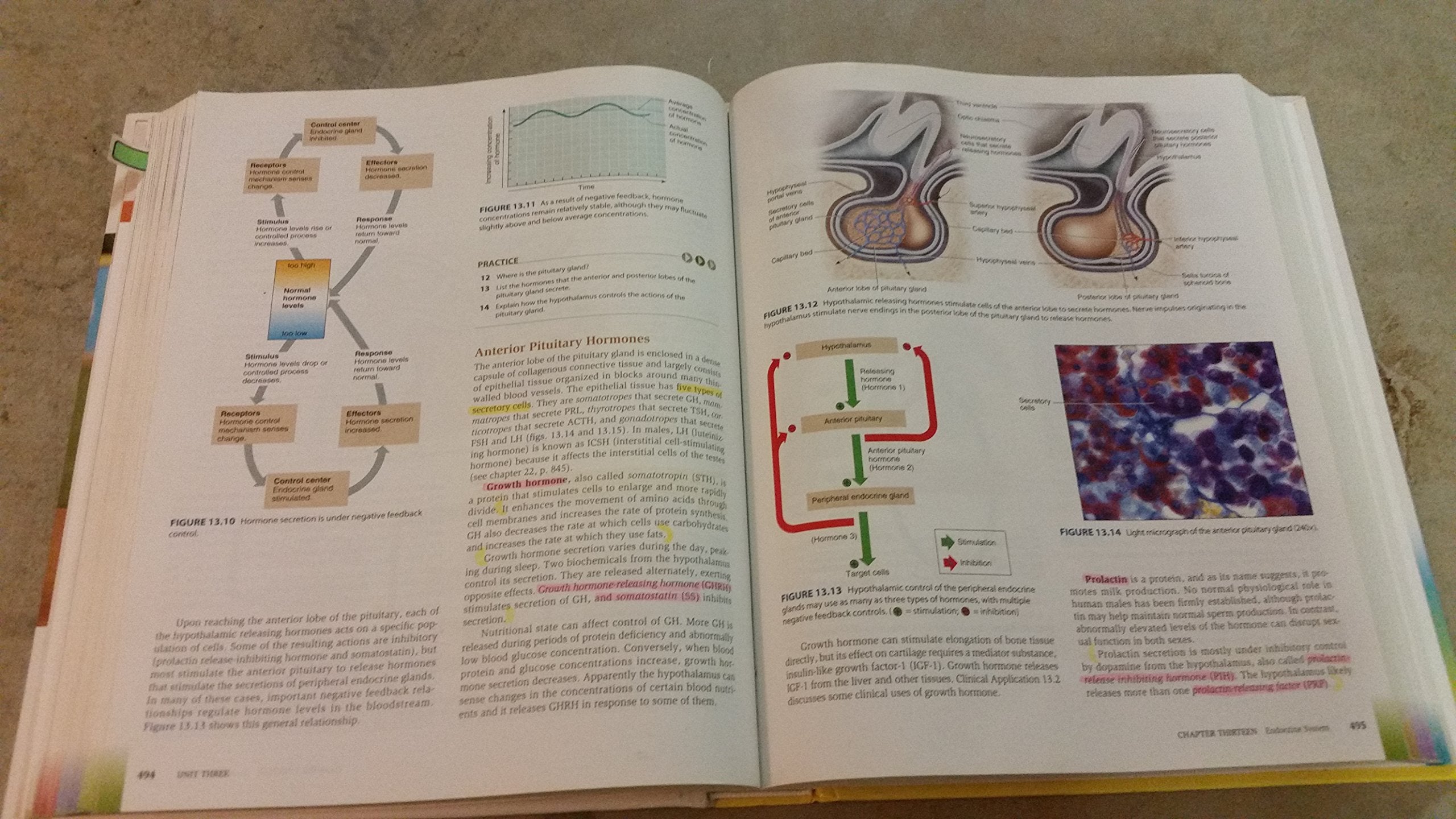 Understanding Nutrition (Available Titles CourseMate),Used
