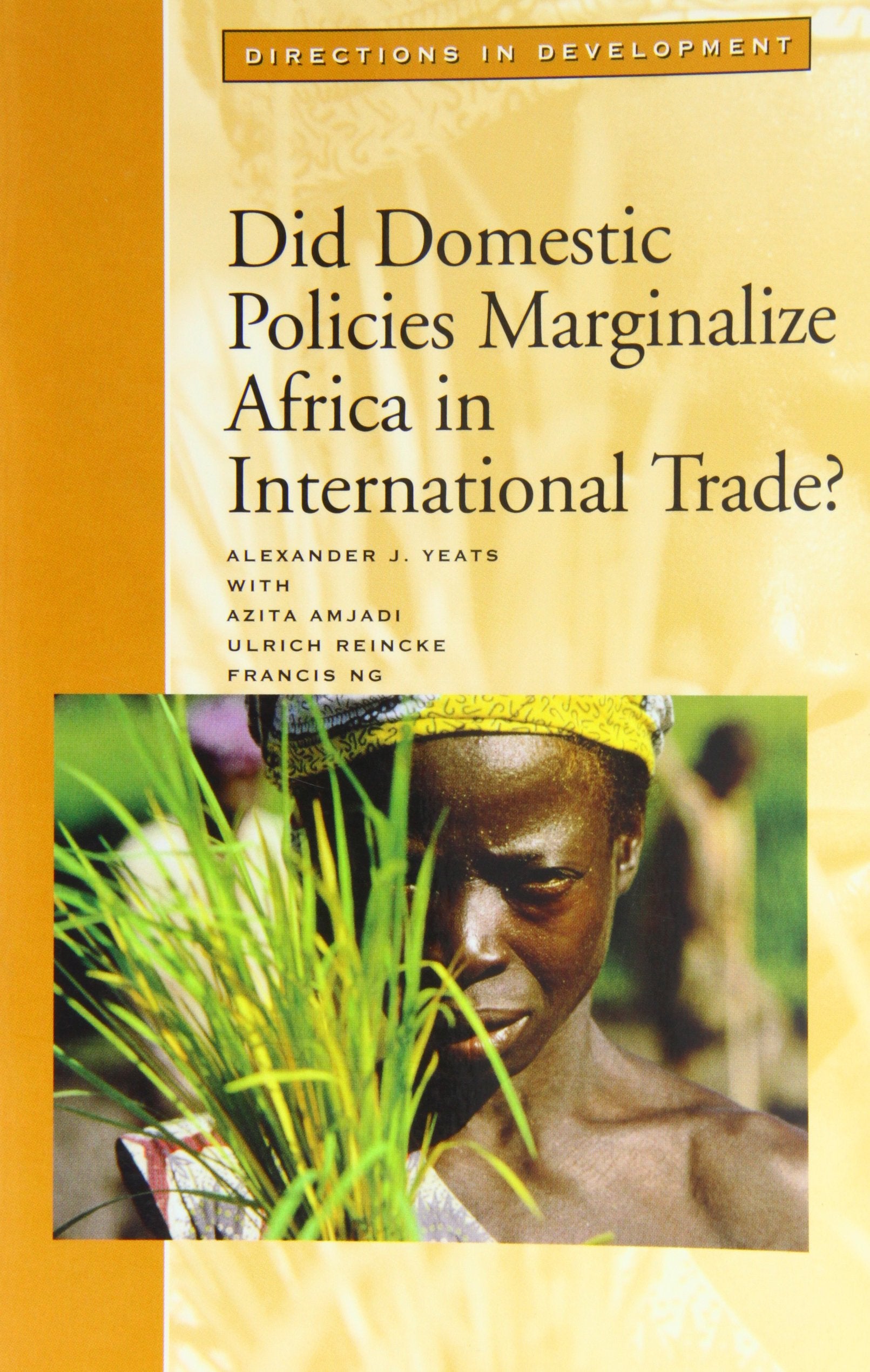 Did Domestic Policies Marginalize Africa in International Trade? (Directions in Development),Used