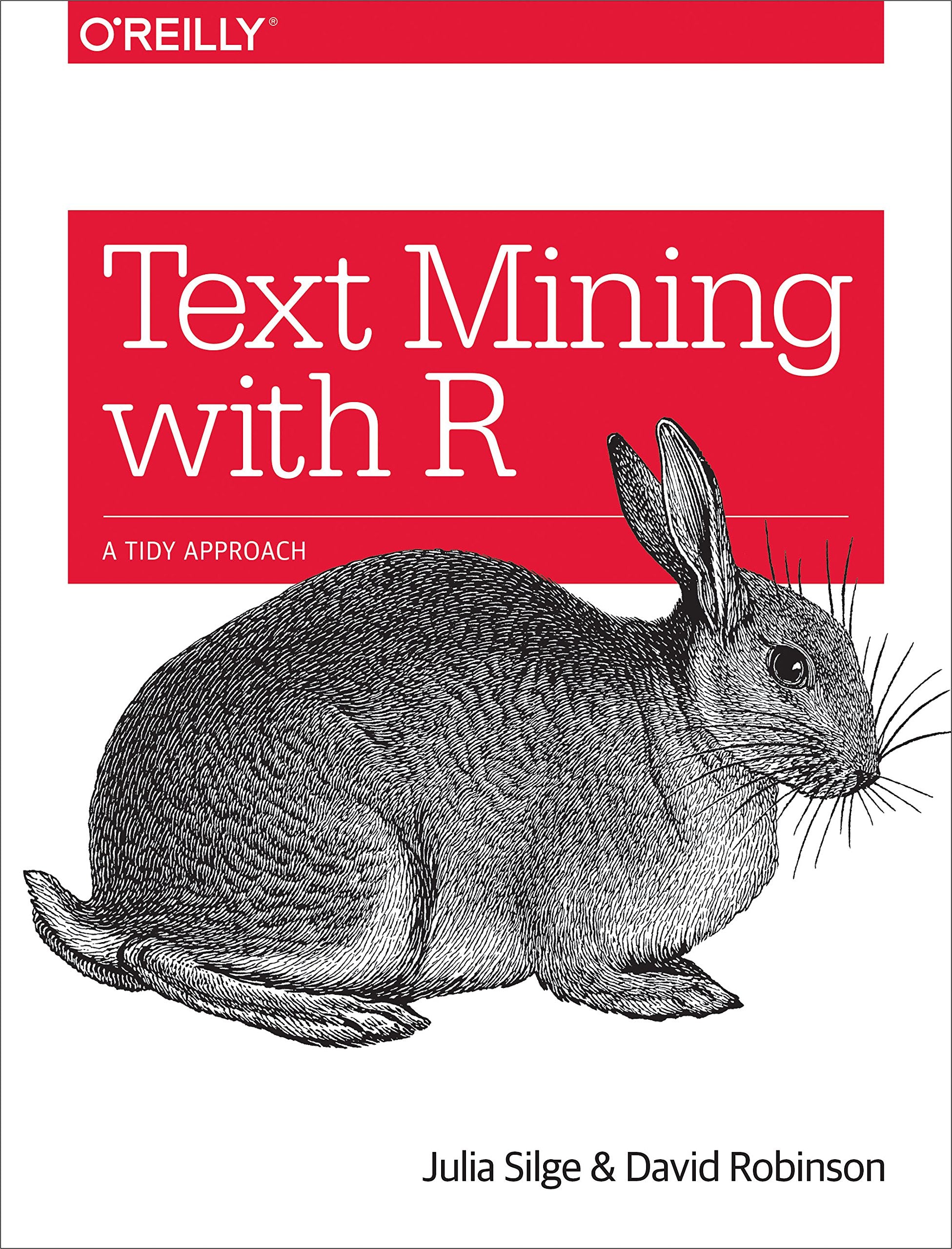 Text Mining with R: A Tidy Approach,Used