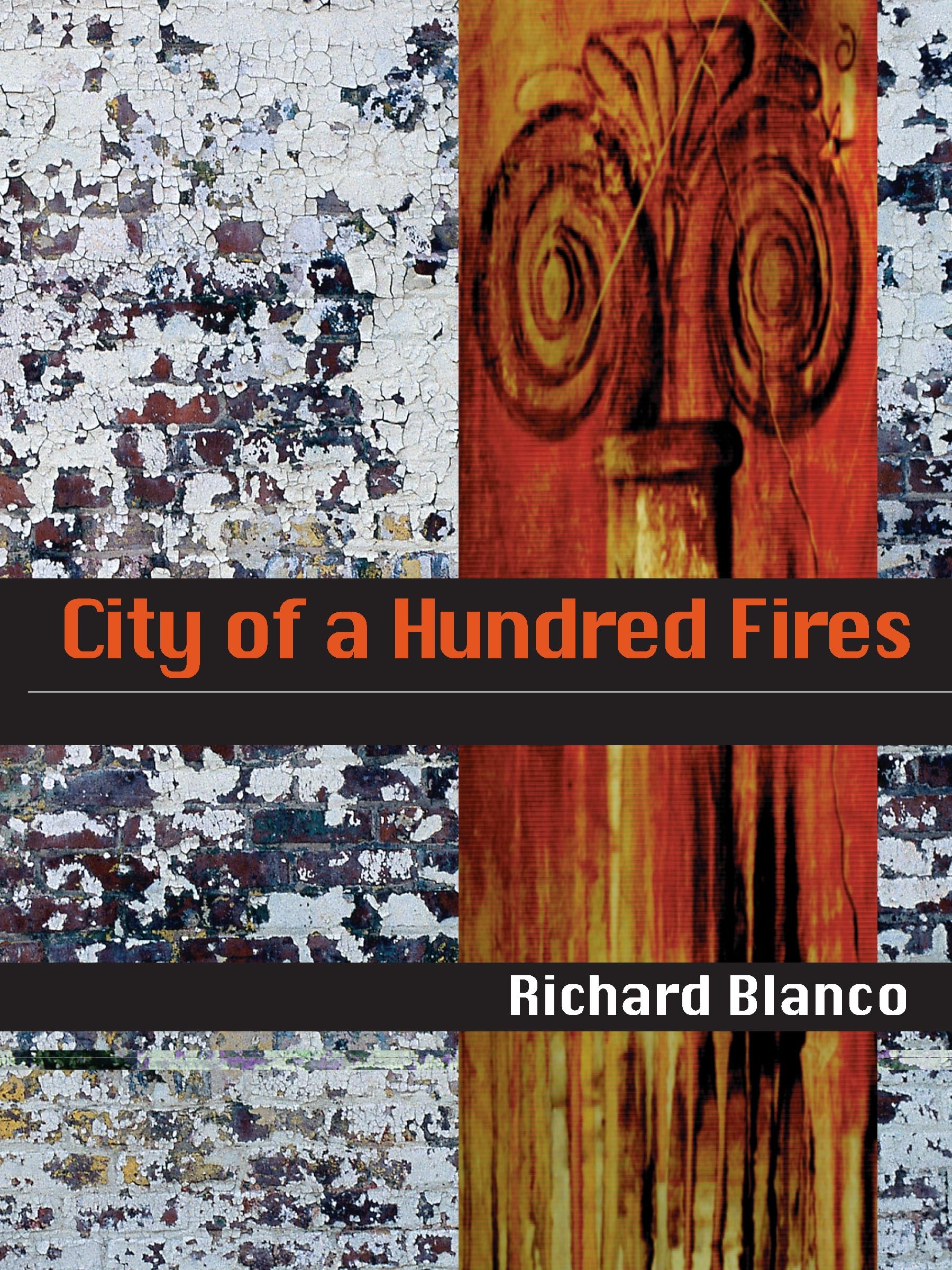 City Of A Hundred Fires (Pitt Poetry Series),New