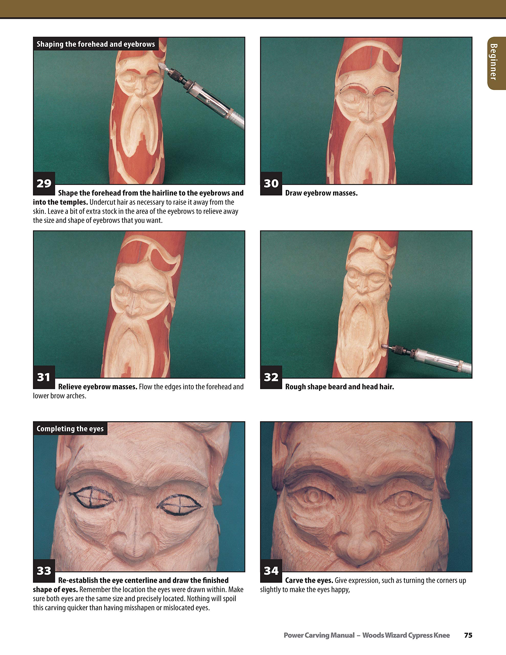 Power Carving Manual: Tools, Techniques, and 16 AllTime Favorite Projects (The Best of Woodcarving Illustrated) (Fox Chapel Pub,Used