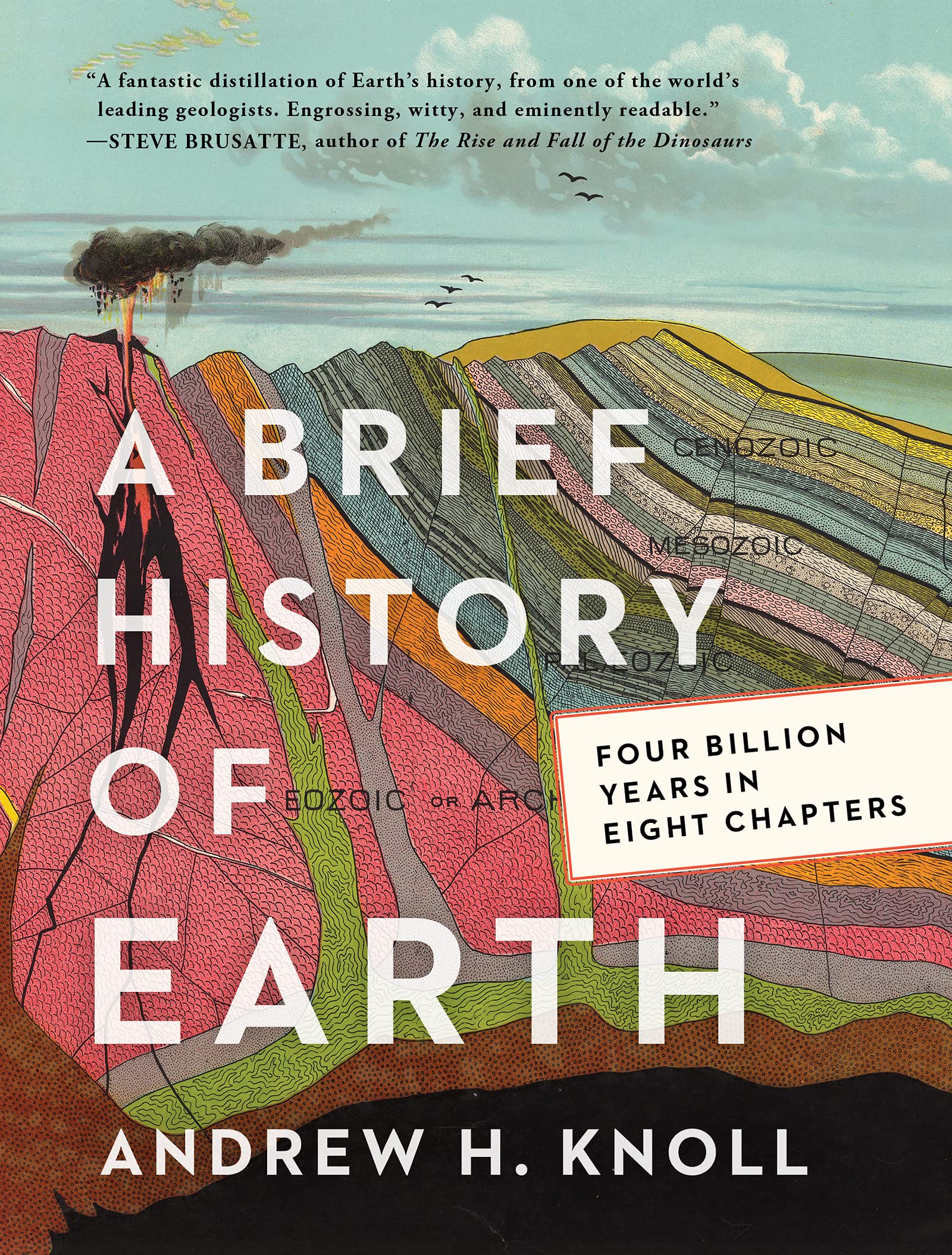 A Brief History Of Earth: Four Billion Years In Eight Chapters,New