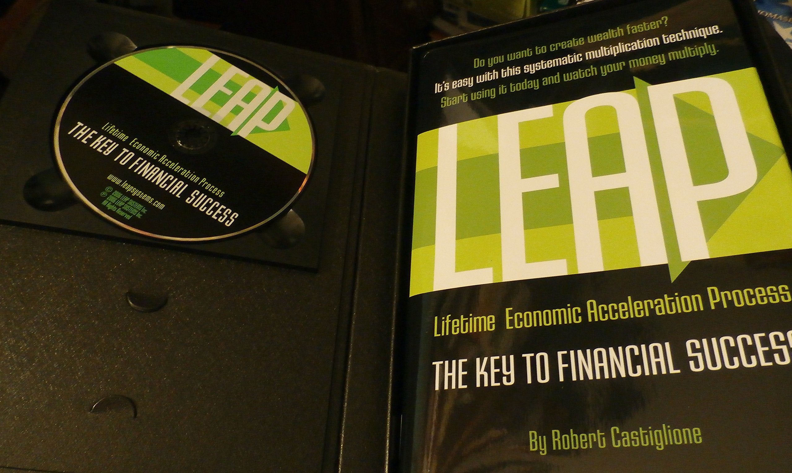 Leap: Lifetime Economic Acceleration Process,New