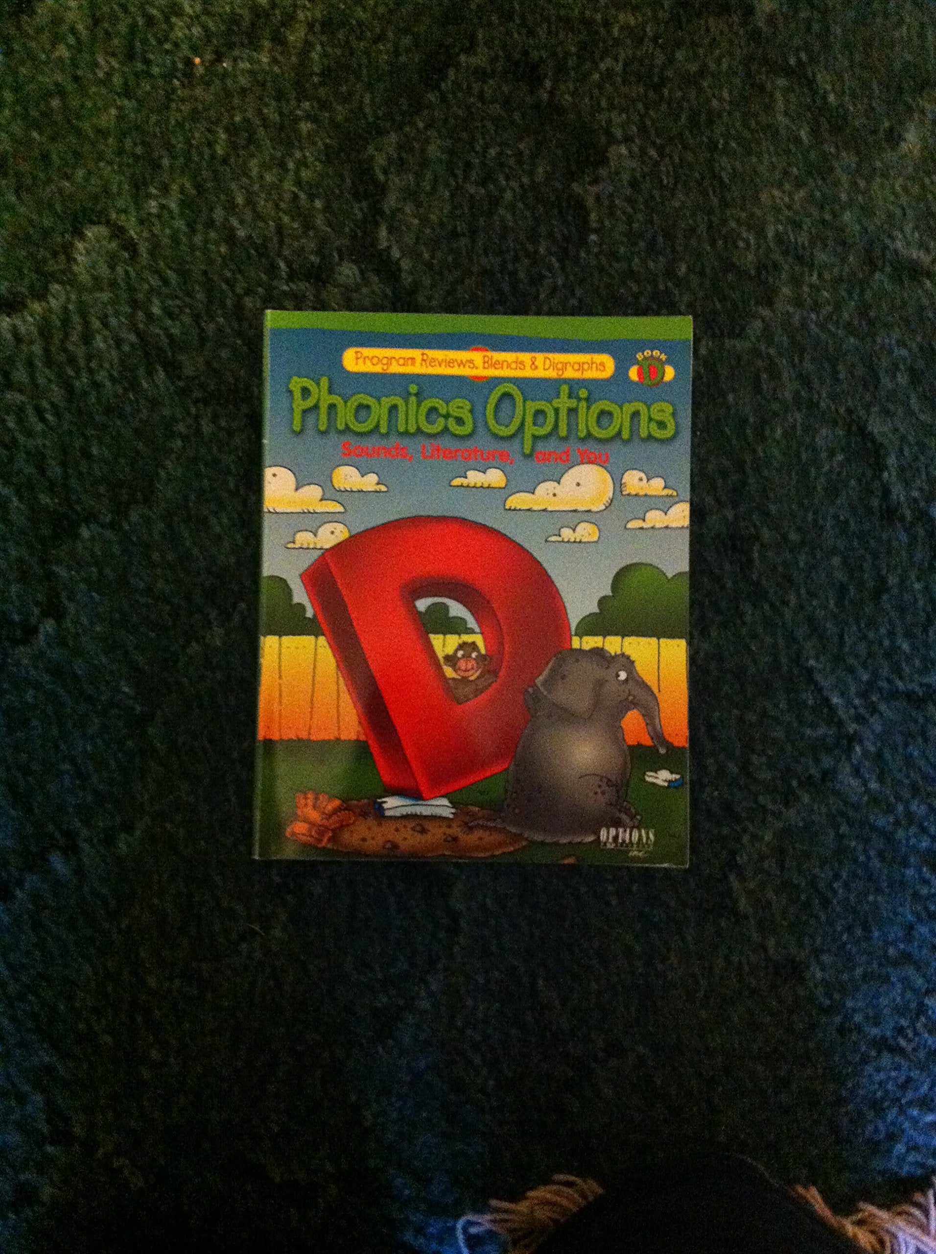 Options Phonics Sounds Literature And You: Level D,Used