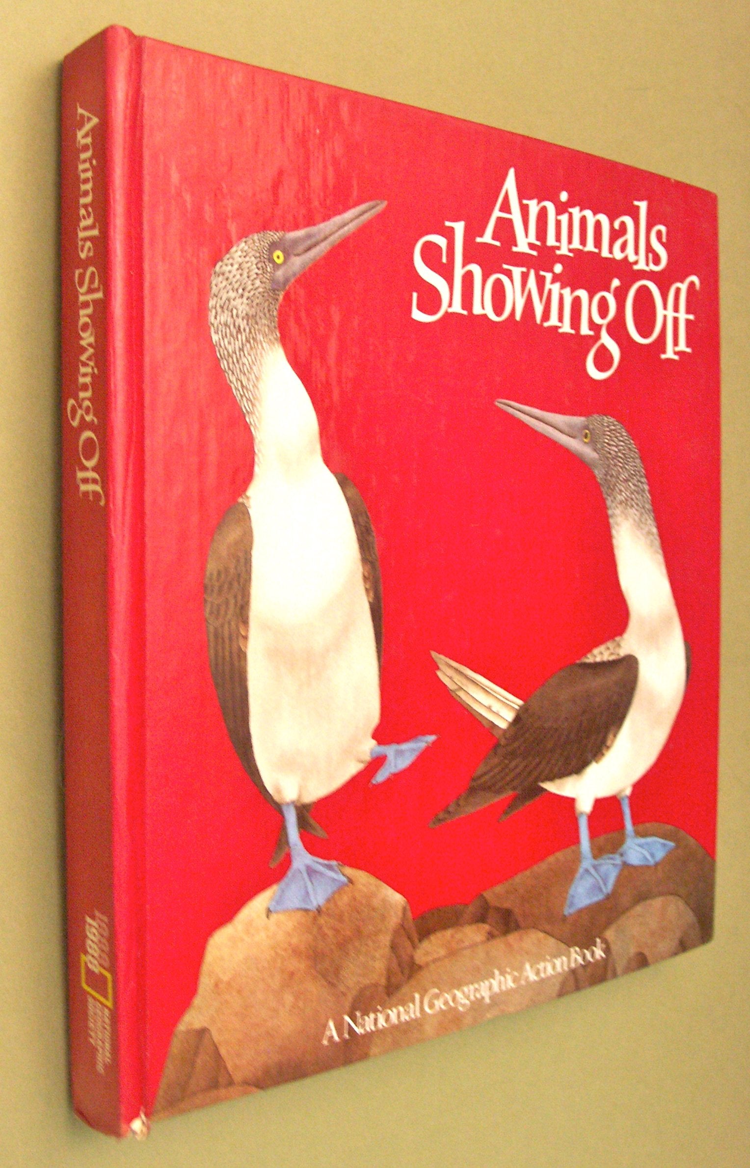 Animals Showing Off (A Popup Book) (National Geographic Action Book),Used