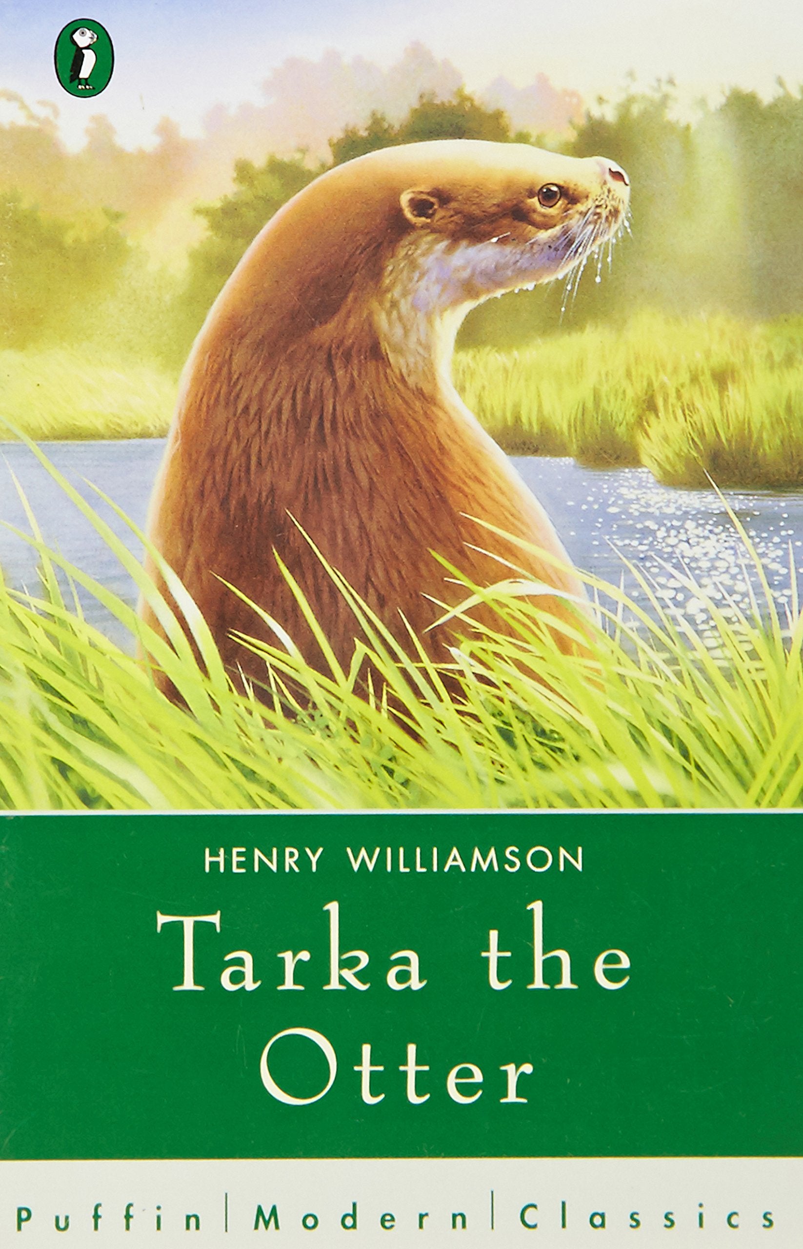Puffin Modern Classics Tarka the Otter,Used