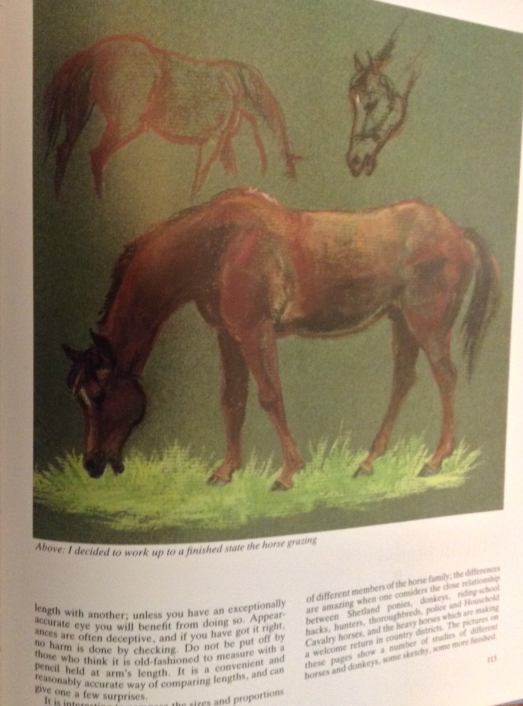 Painting with Pastel,Used